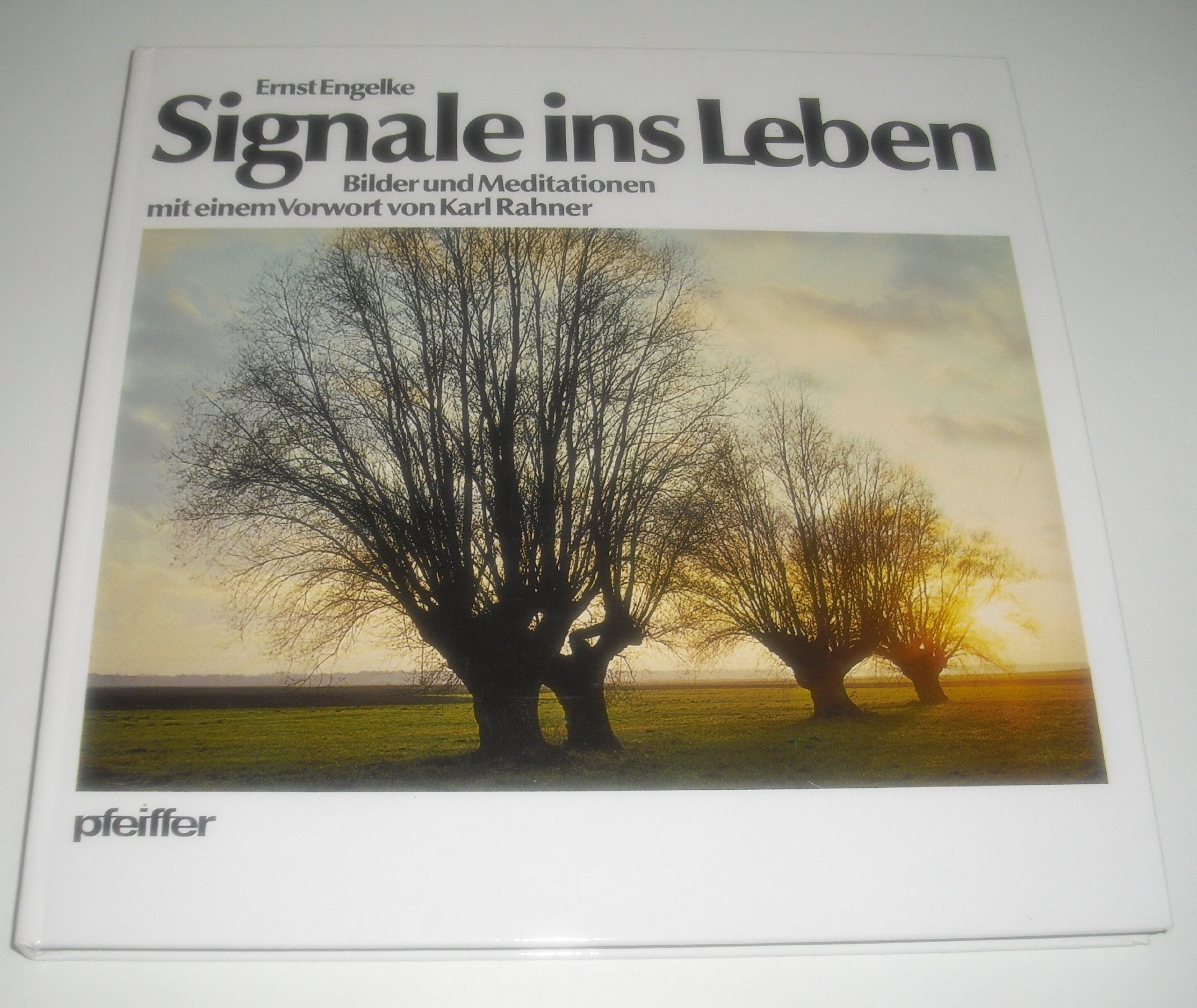 Signale ins Leben. Bilder und Meditationen Self-help