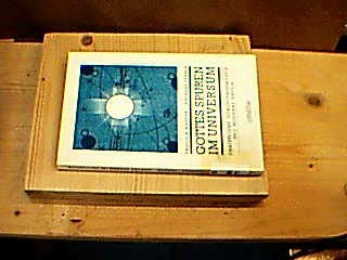Gottes Spuren im Universum. Schöpfungsmystik und moderne Physik Religion & Esotericism
