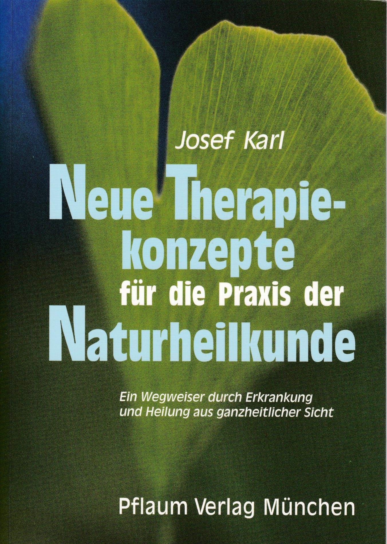 Neue Therapiekonzepte für die Praxis der Naturheilkunde. Ein Wegweiser durch Erkrankung und Heilung Medicine