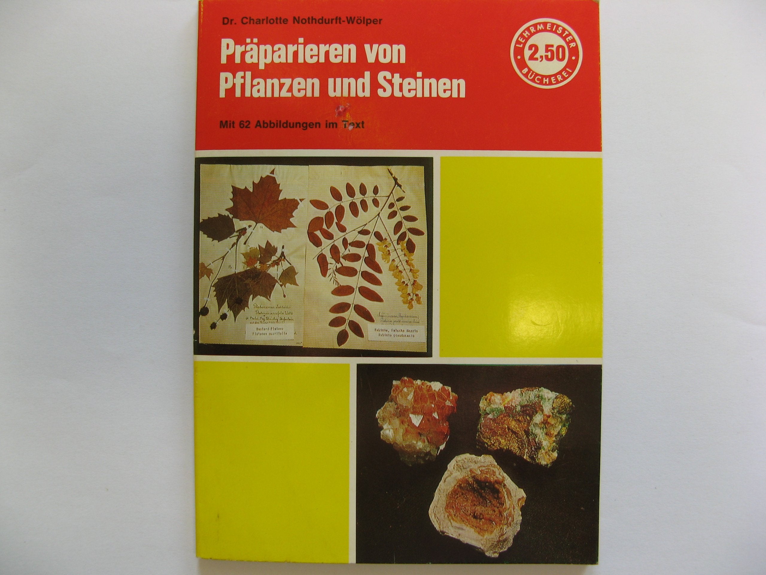 Sammeln und Präparieren von Pflanzen und Steinen. Science