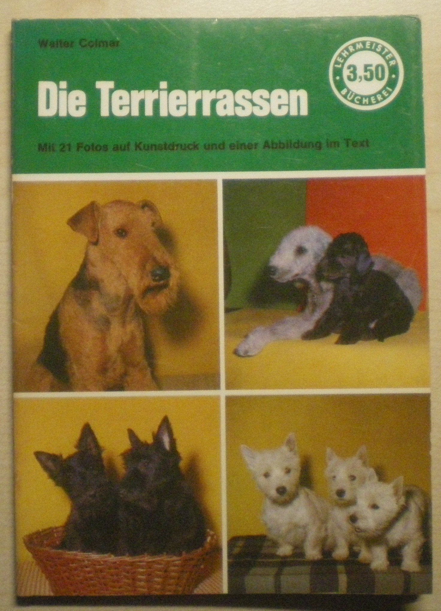 Die Terrierrassen (6610 943). Rassenbeschreibung, Haltung und Pflege. Pets