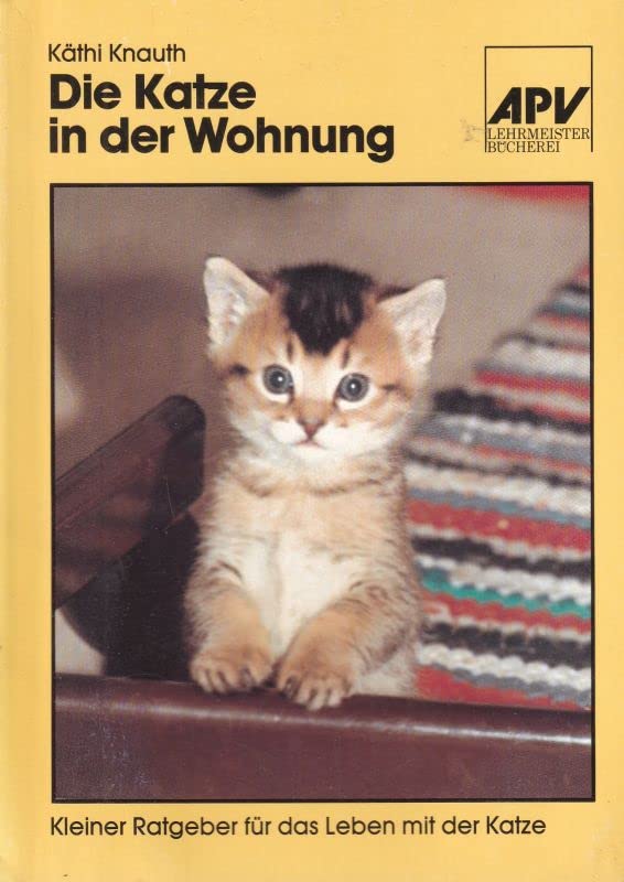 Die Katze in der Wohnung Pets