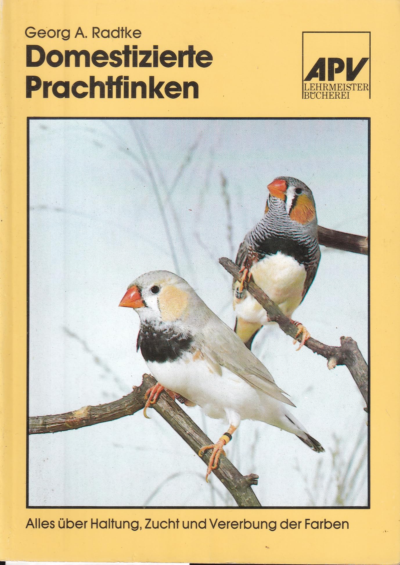 Domestizierte Prachtfinken Natural Sciences