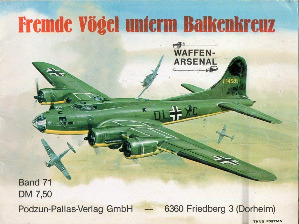 Fremde Vögel unter dem Balkenkreuz Film, Art & Culture