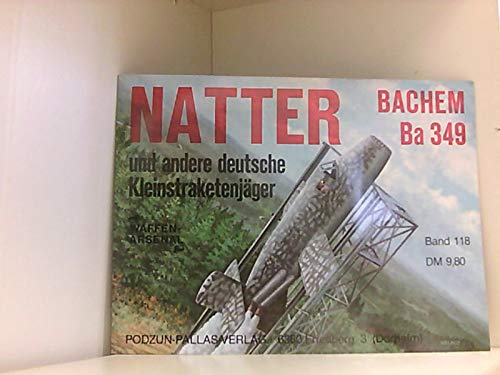 Natter und andere Kleinstraketenjäger Business & Technology