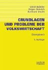 Grundlagen und Probleme der Volkswirtschaft. Übungsbuch Politics & Society