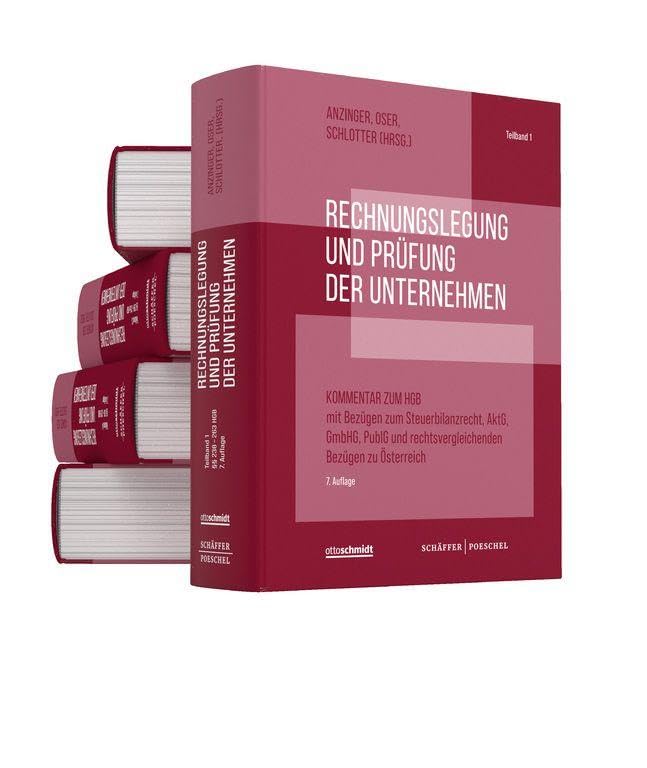 Rechnungslegung und Prüfung der Unternehmen (Gesamtausgabe) Law