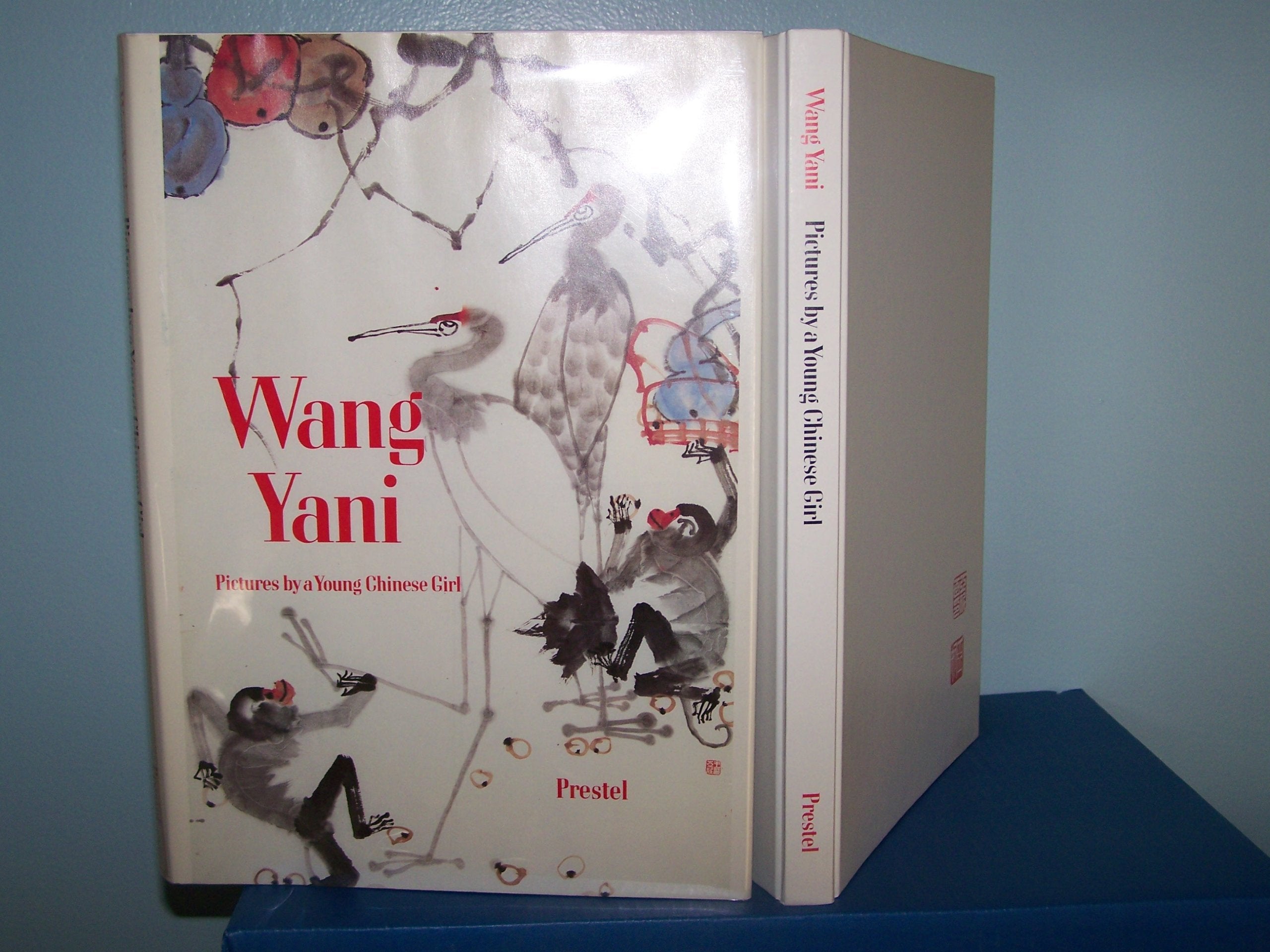 Wang Yani: Pictures by a Young Chinese Girl Film, Art & Culture