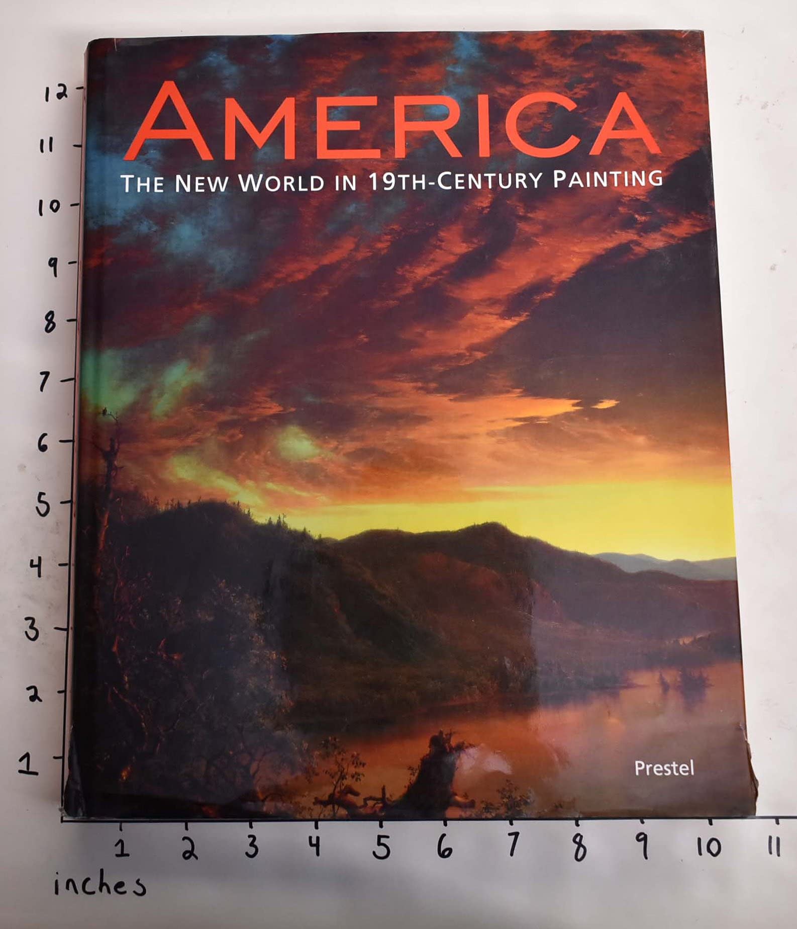 America: The New World in 19Th-Century Painting Film, Art & Culture
