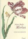 Prestel-Minis: Maria Sibylla Merian, Neues Blumenbuch Film, Art & Culture