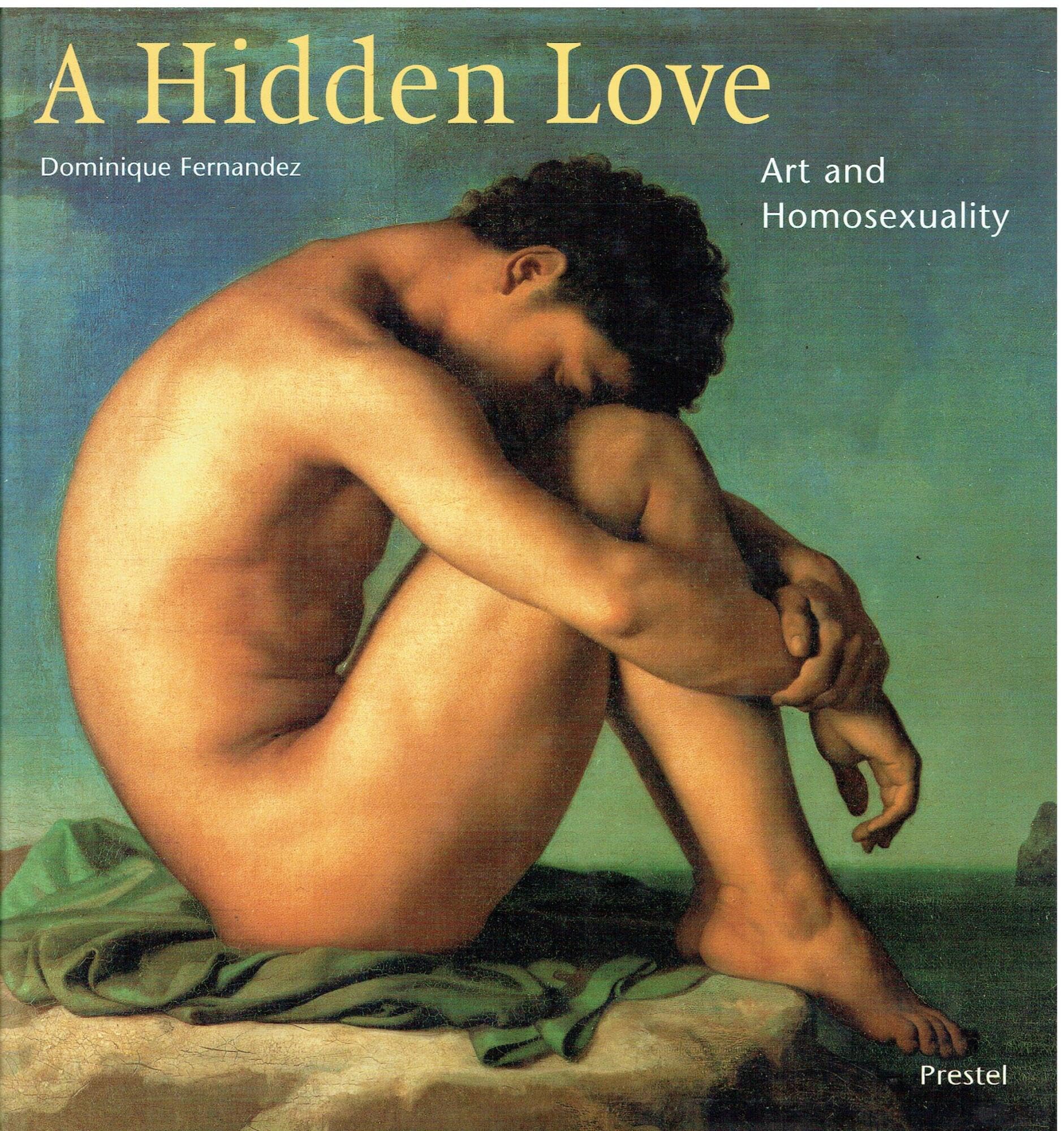 A Hidden Love: Art and Homosexuality. Englische Originalausgabe (Art & Design S.) Social Sciences