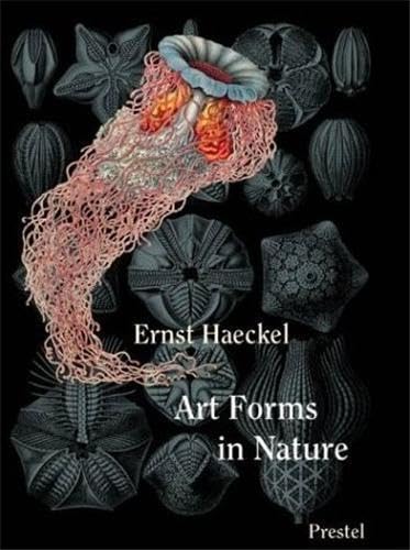 Art Forms in Nature: Ernst Haeckel (Prestel Minis S.) Social Sciences