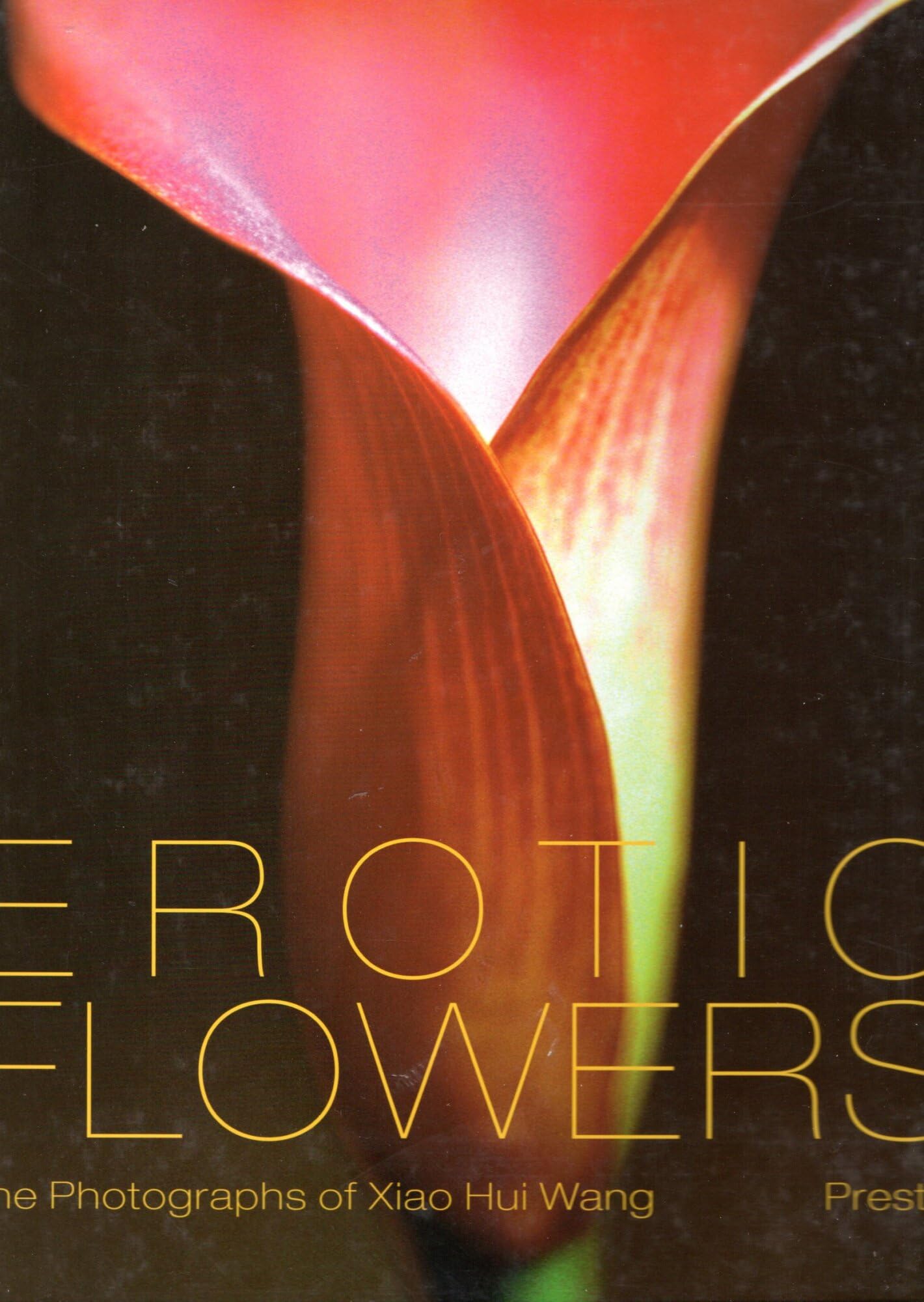 Erotic Flowers: The Photographs Of Xiao Hui Wang Travel