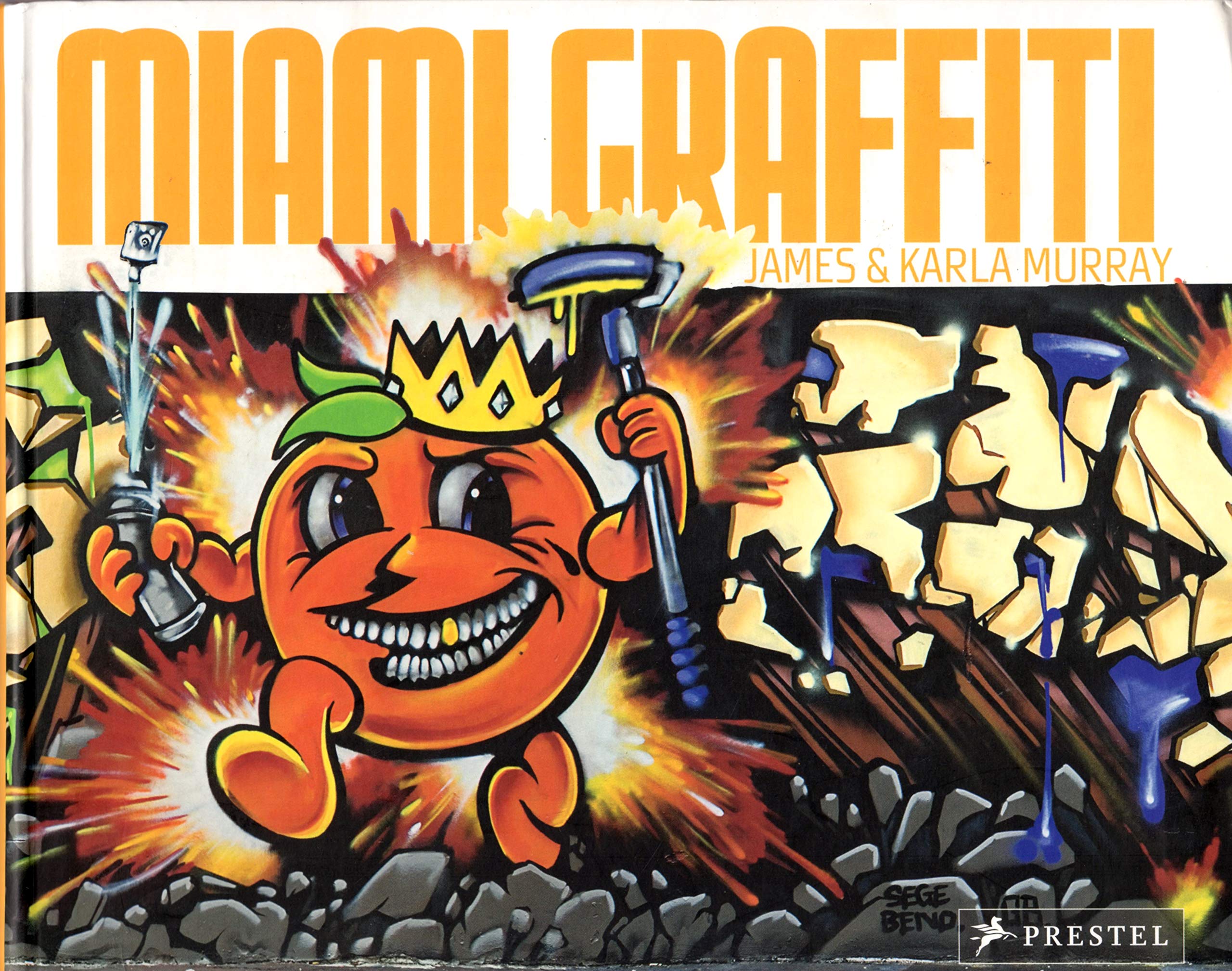 Miami Graffiti Social Sciences