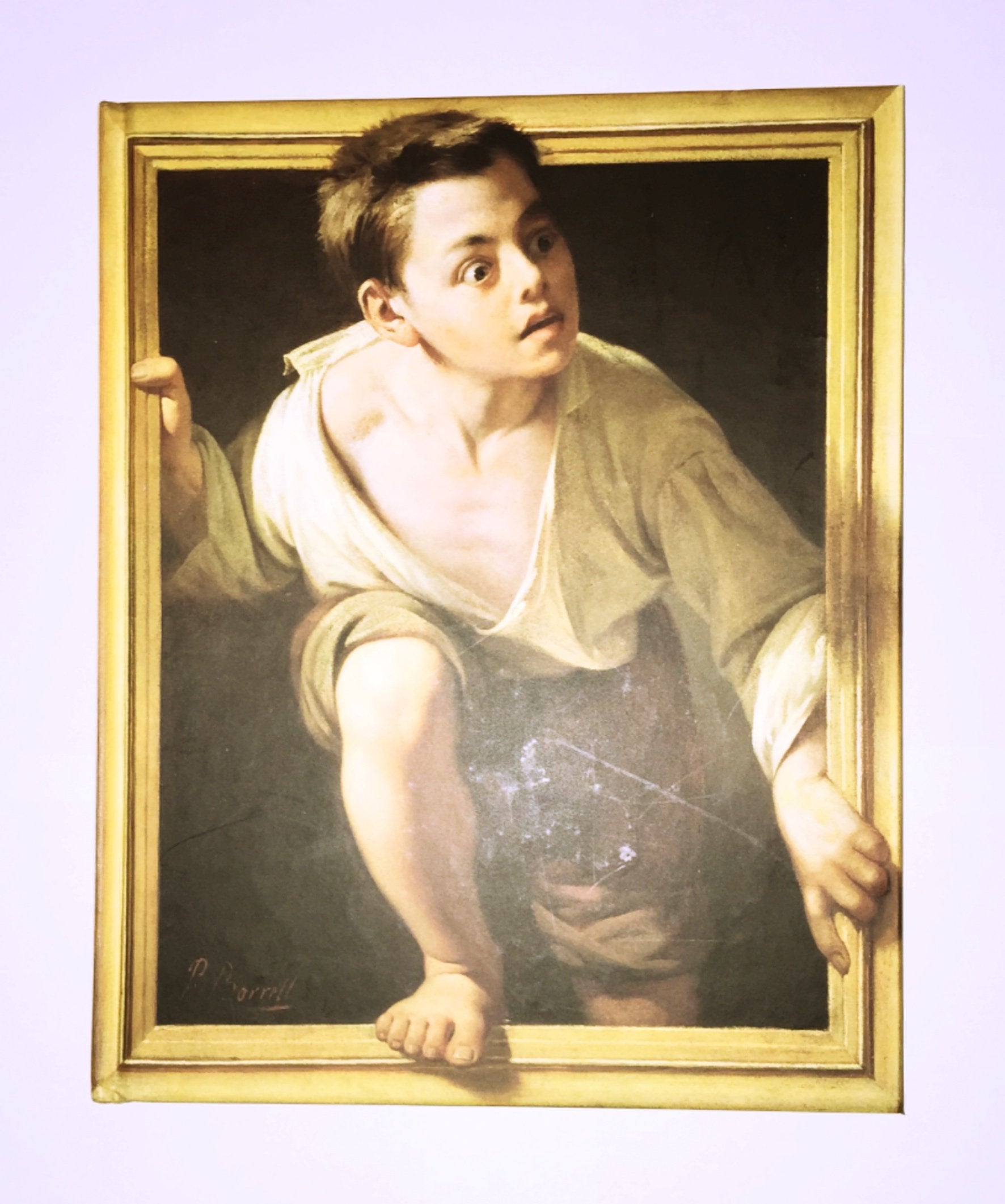 Die Kunst der Augentäuschung Art & Literature