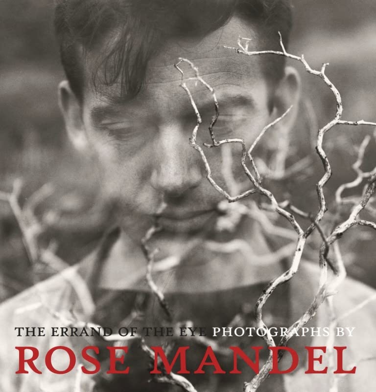 Rose Mandel The Errand of the Eye Travel