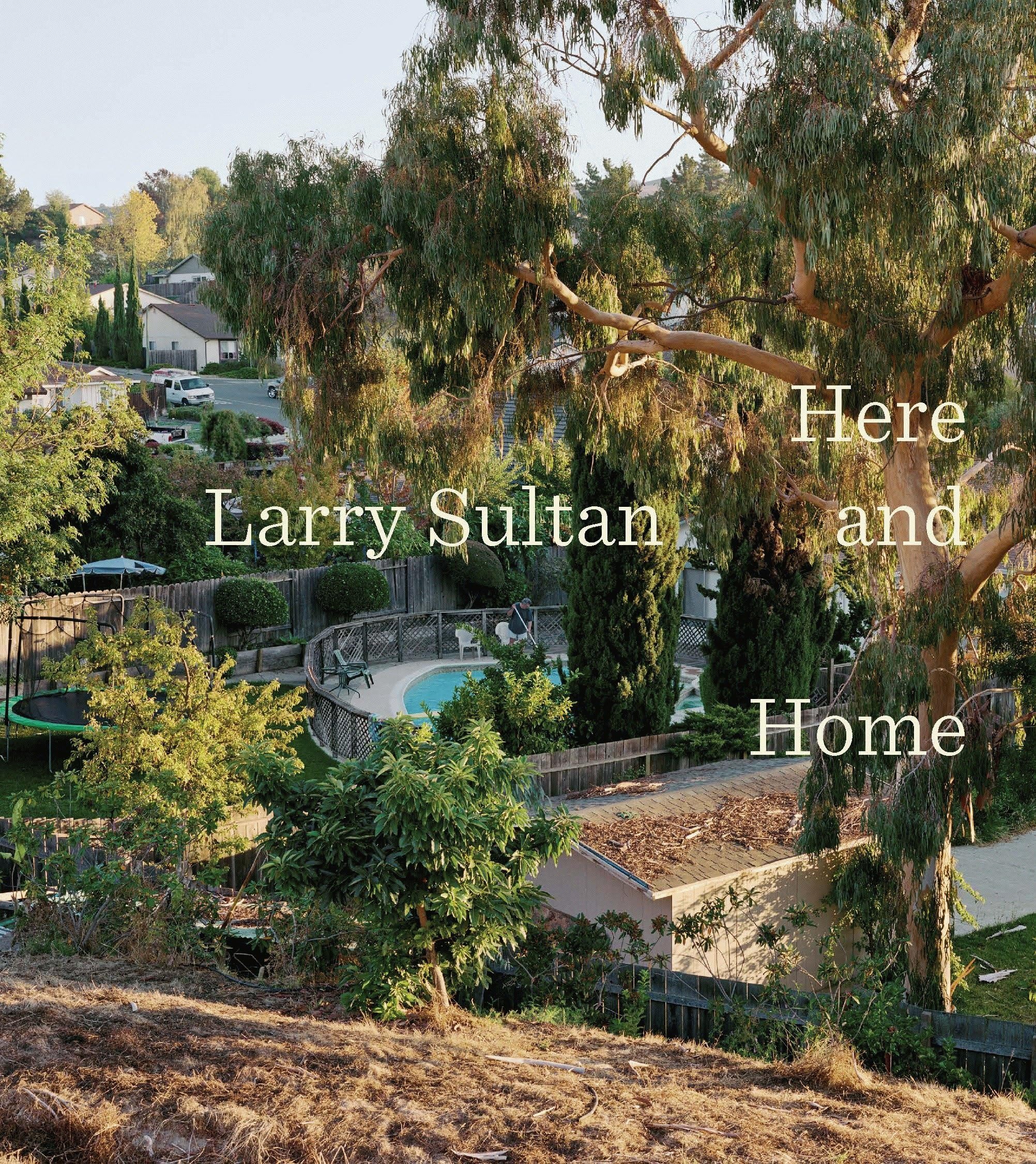Product Image: Larry Sultan : Here/Home