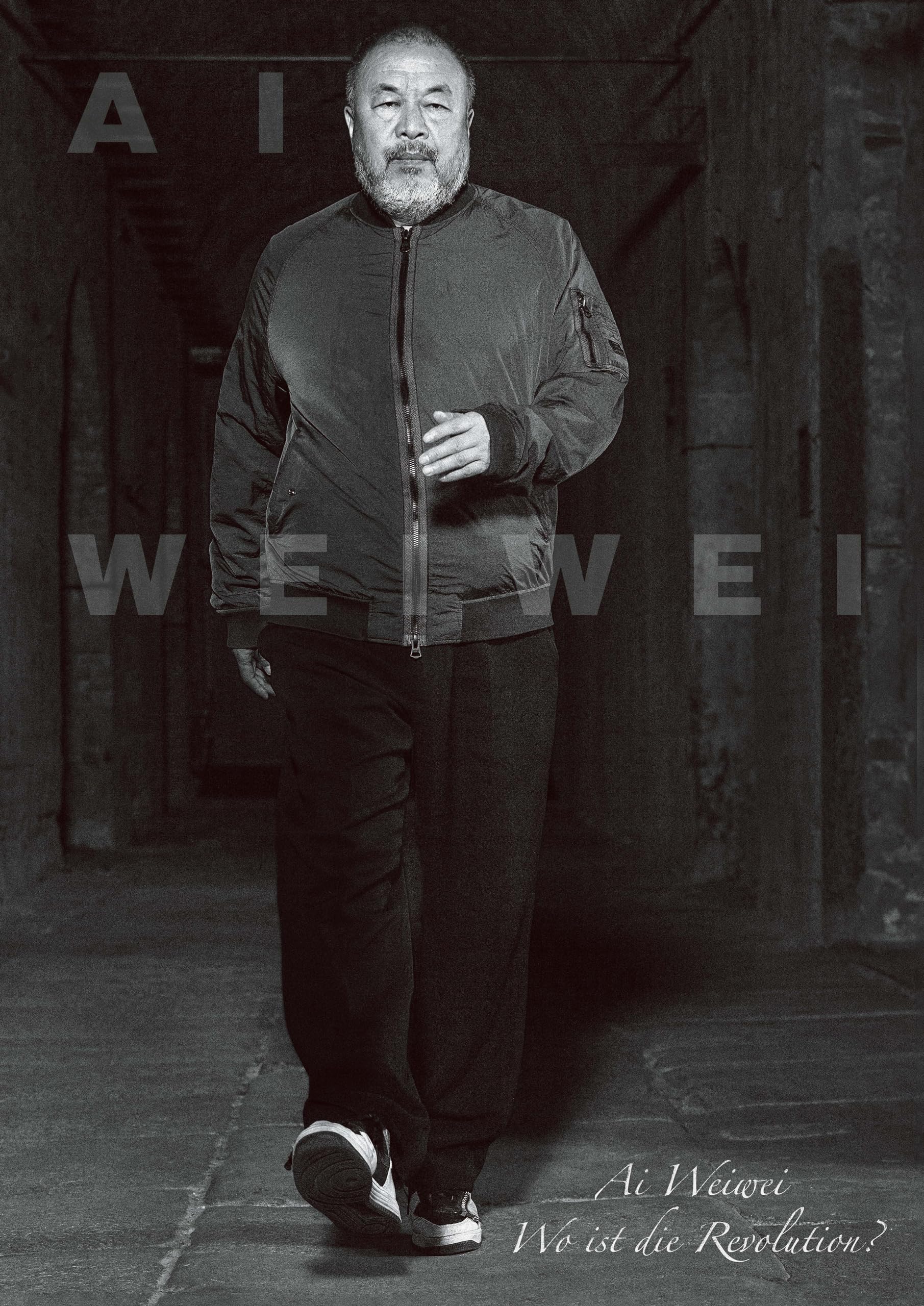 Ai Weiwei - engl.: Katalog zur Ausstellung in der Kunstsammlung Nordrhein-Westfalen Film, Art & Culture