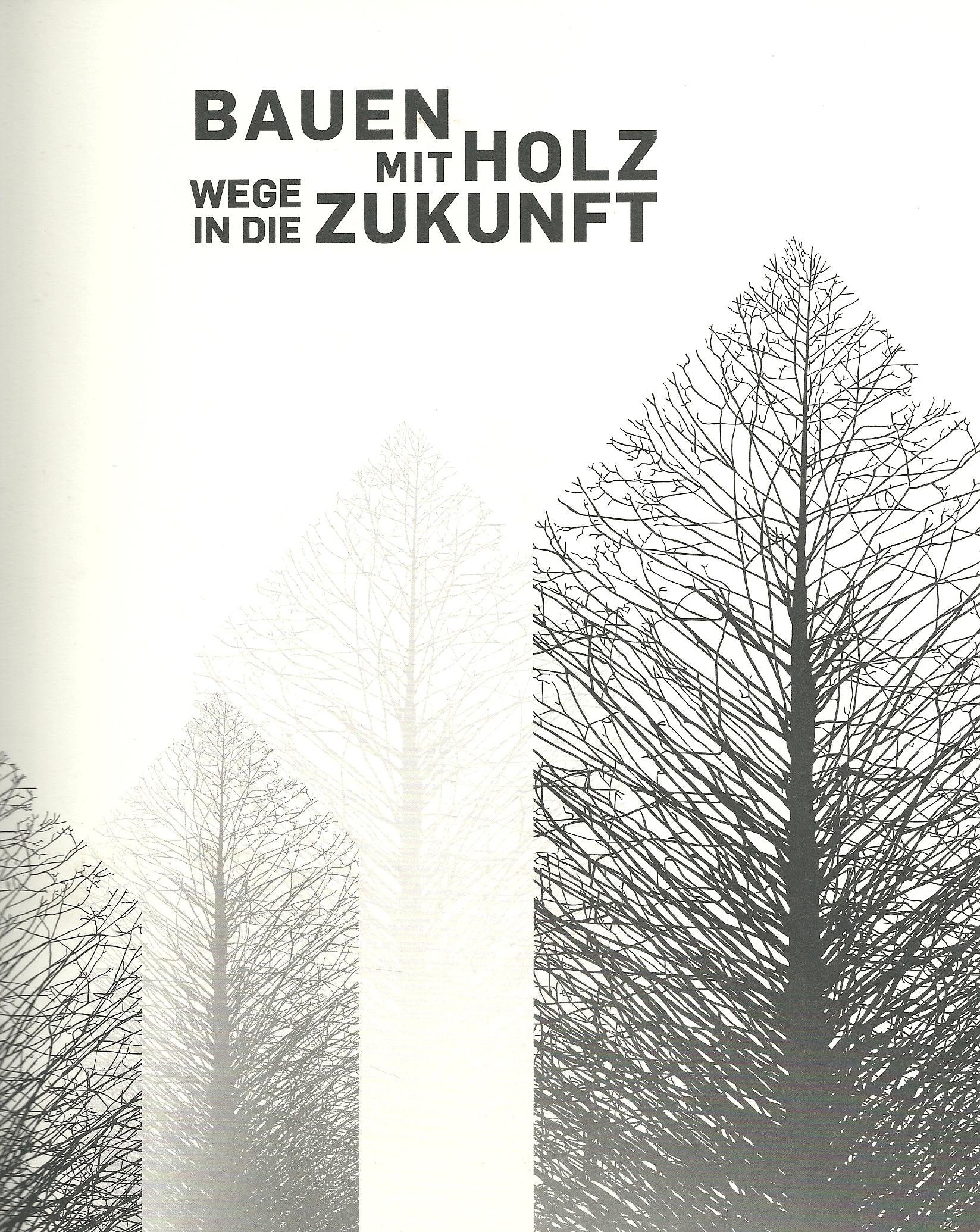 Bauen mit Holz - Wege in die Zukunft Art & Literature