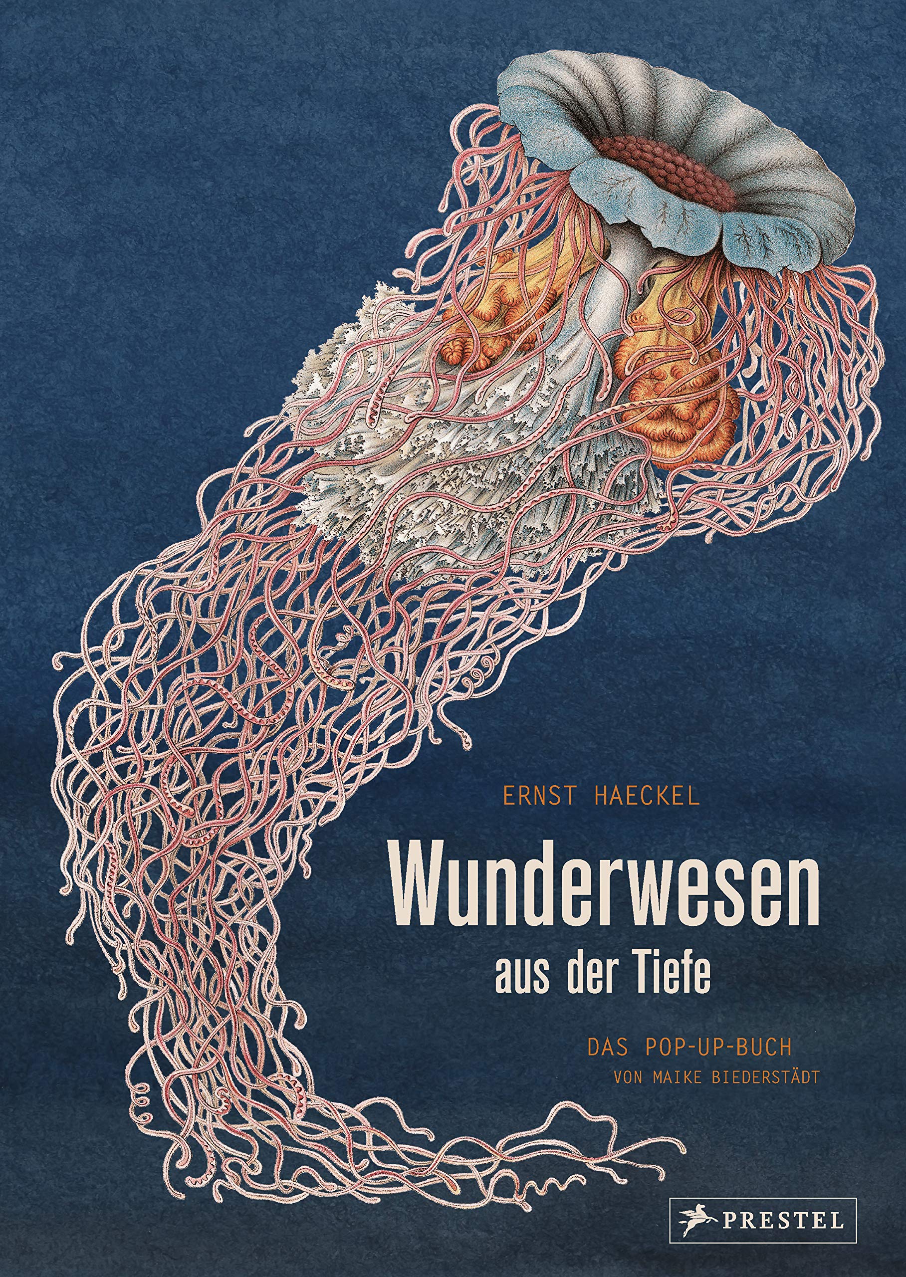 Wunderwesen aus der Tiefe. Ernst Haeckel Film, Art & Culture