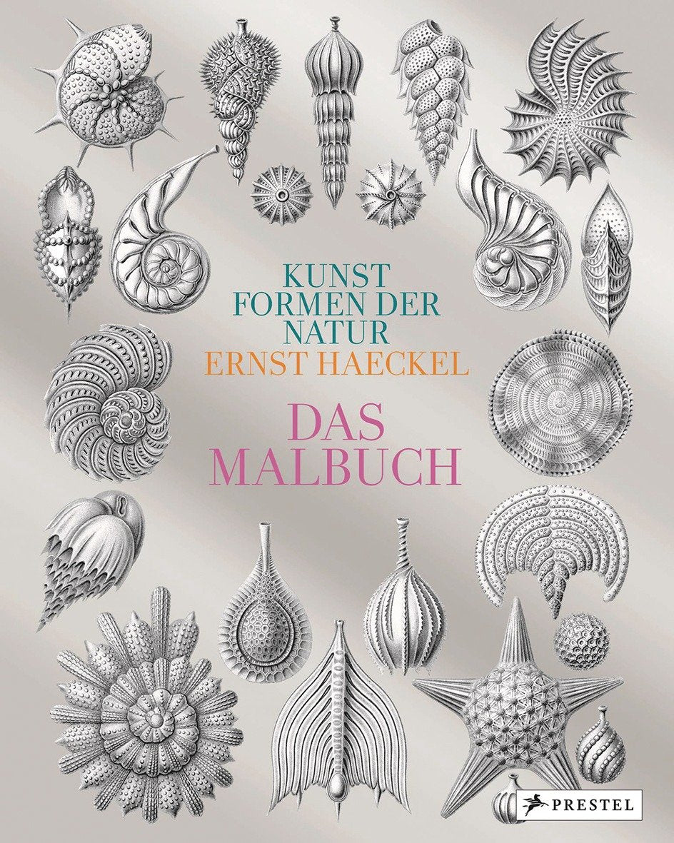 Kunstformen der Natur von Ernst Haeckel Hobbies & Crafts