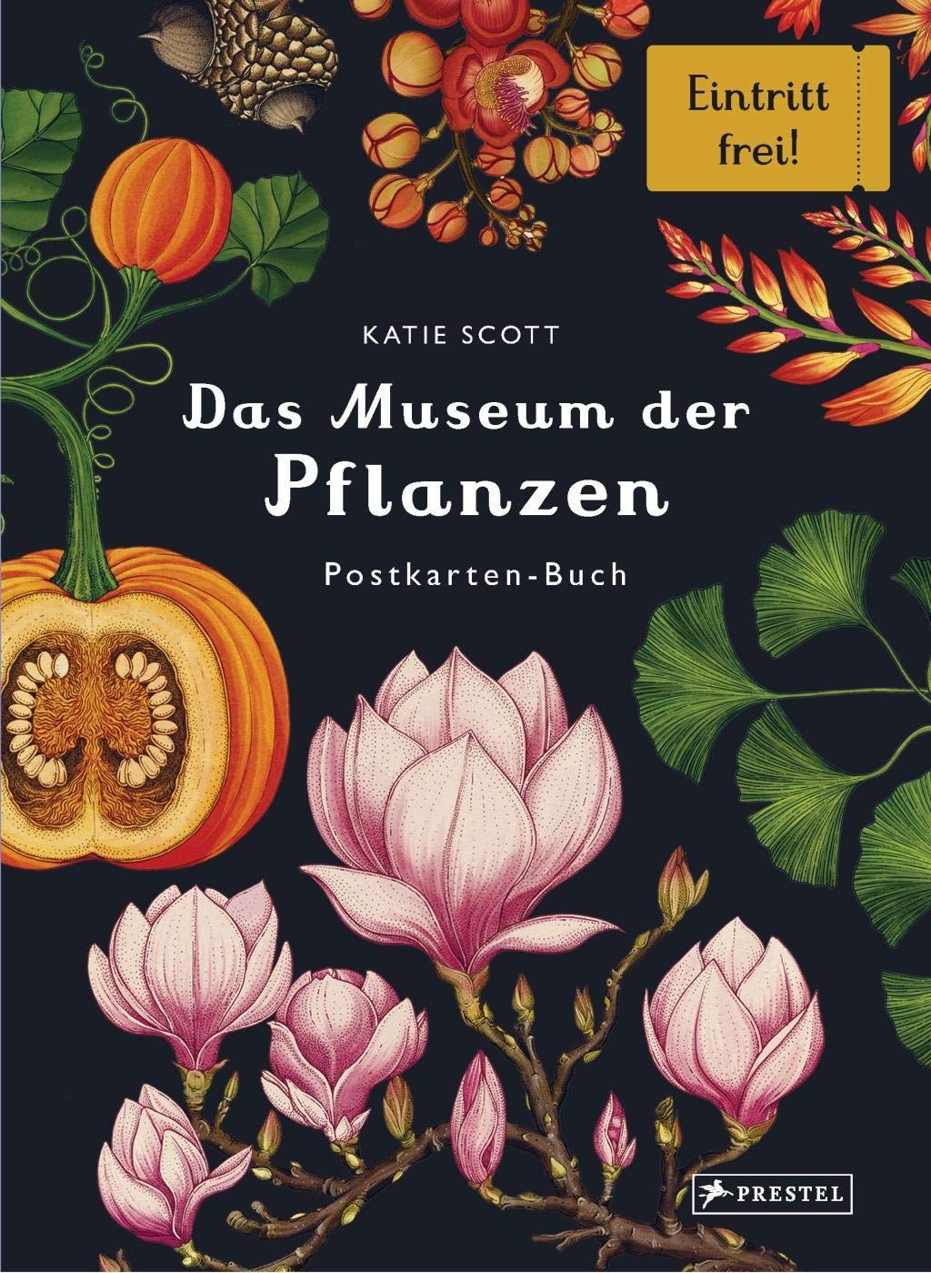 Das Museum der Pflanzen. Postkartenbuch: Eintritt frei! Film, Art & Culture