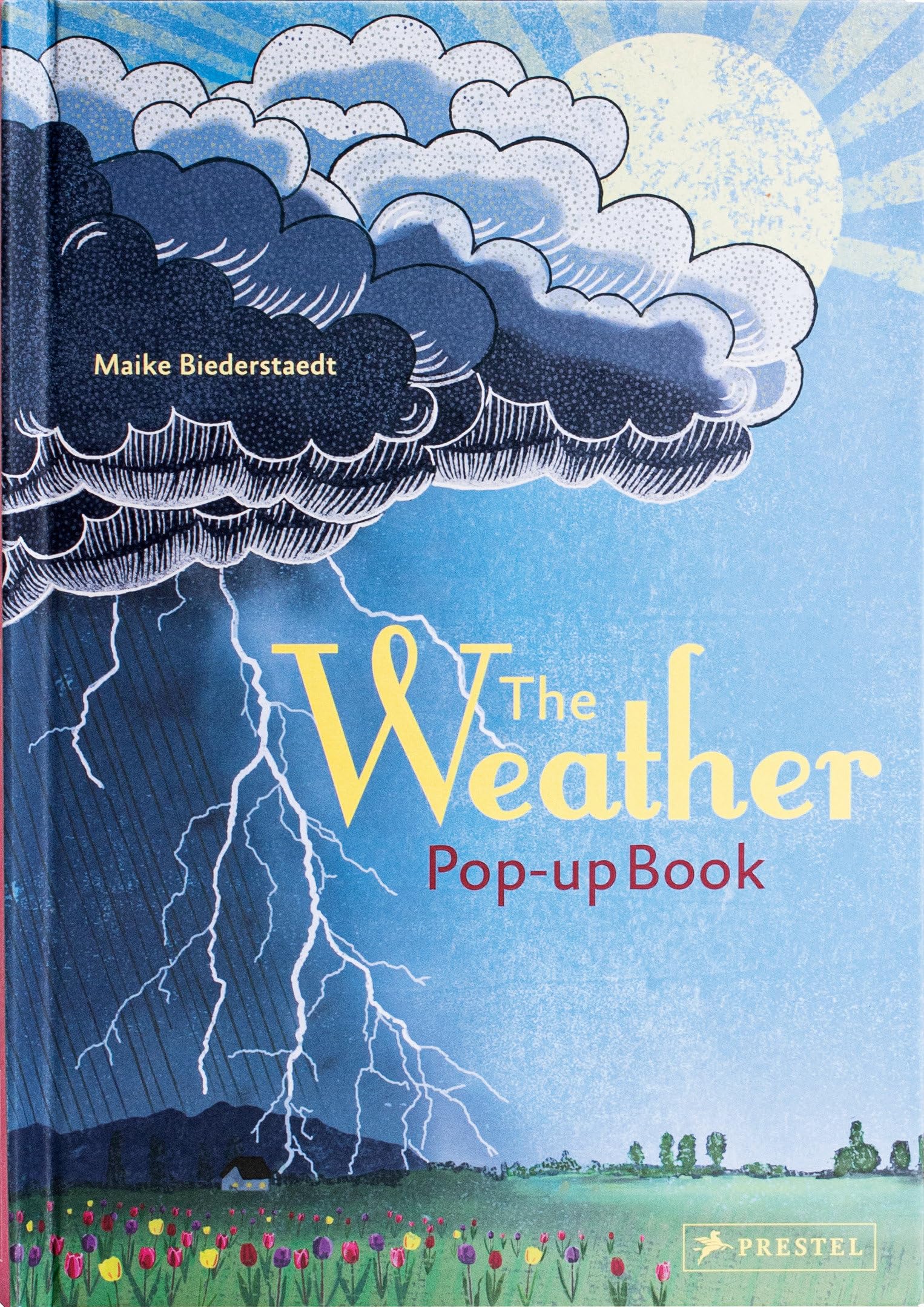 The Weather: Pop-Up Book book