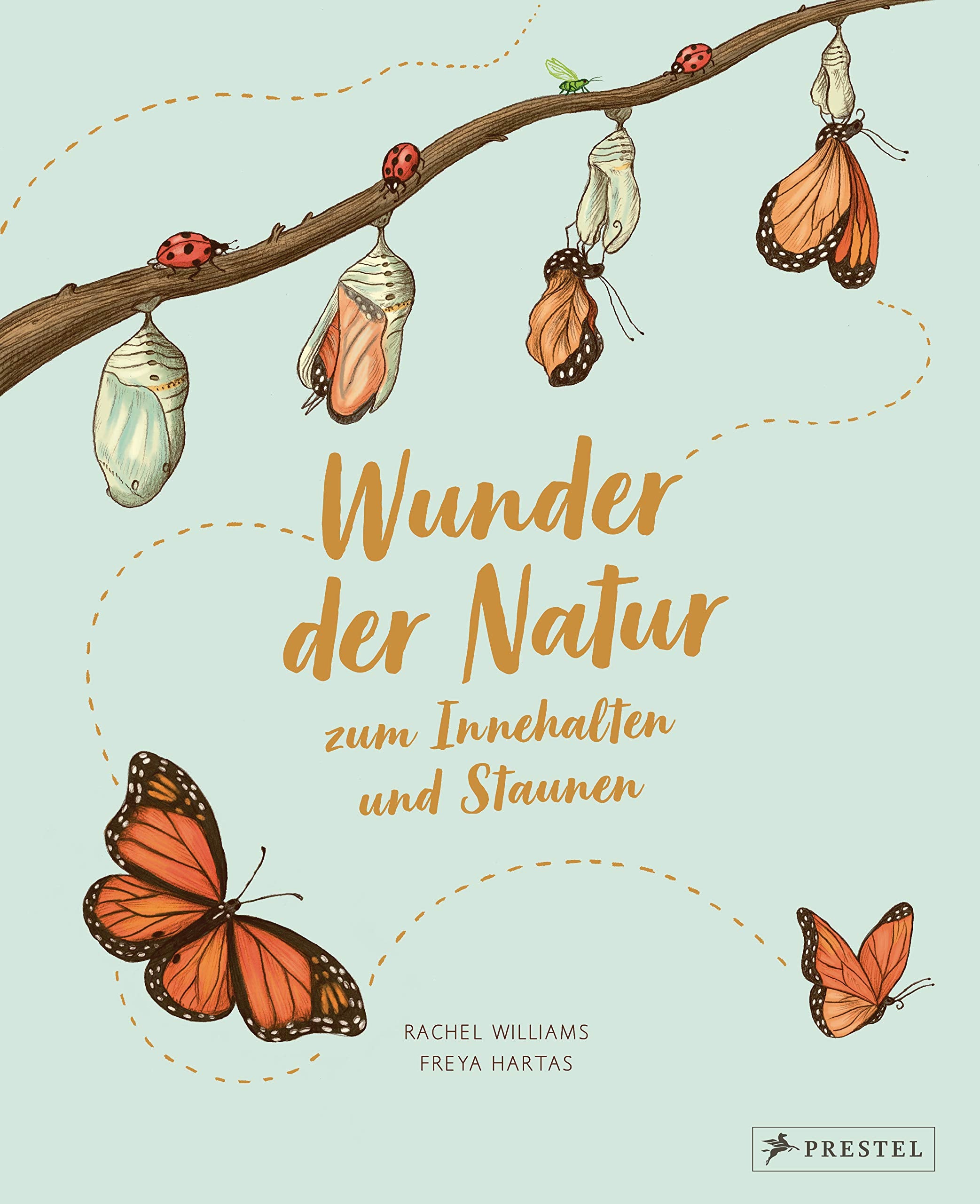 Wunder der Natur zum Innehalten und Staunen Business & Technology