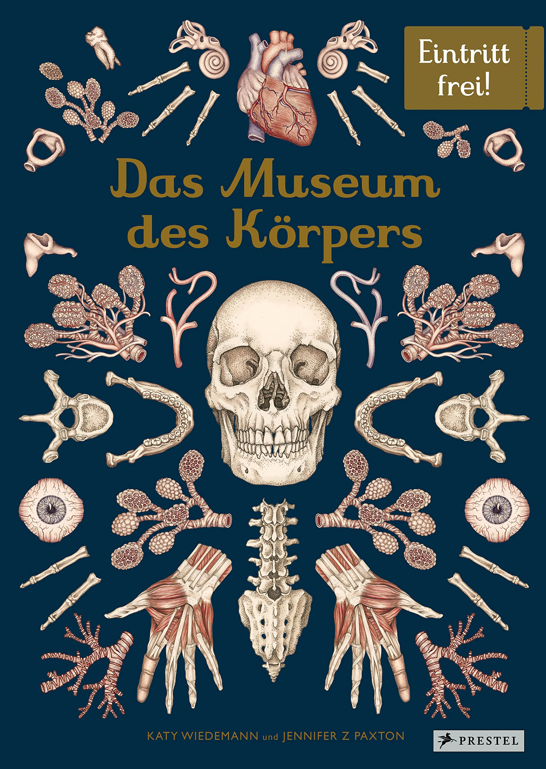 Das Museum des Körpers Lifestyle