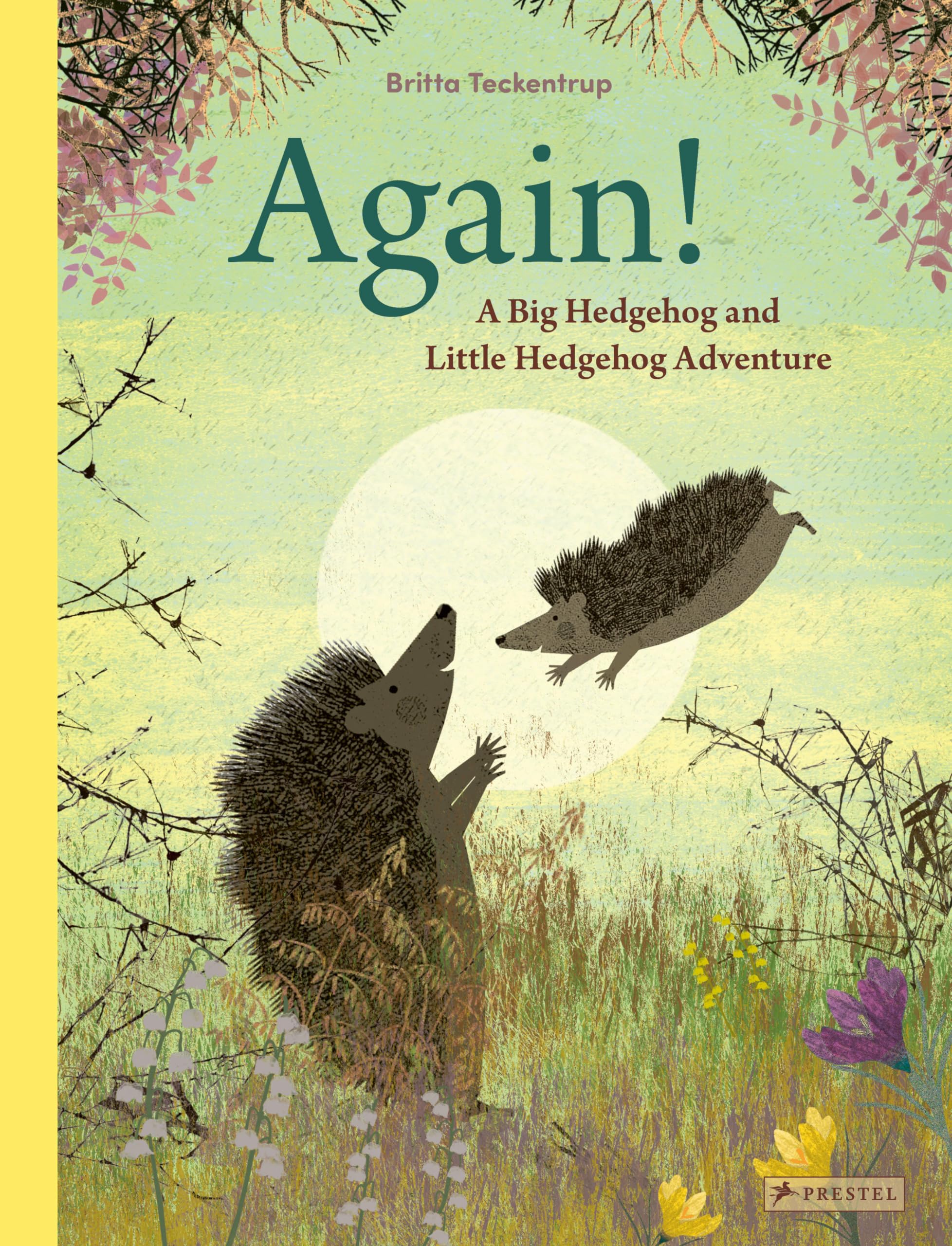 Again!: A Big Hedgehog and Little Hedgehog Adventure Film, Art & Culture