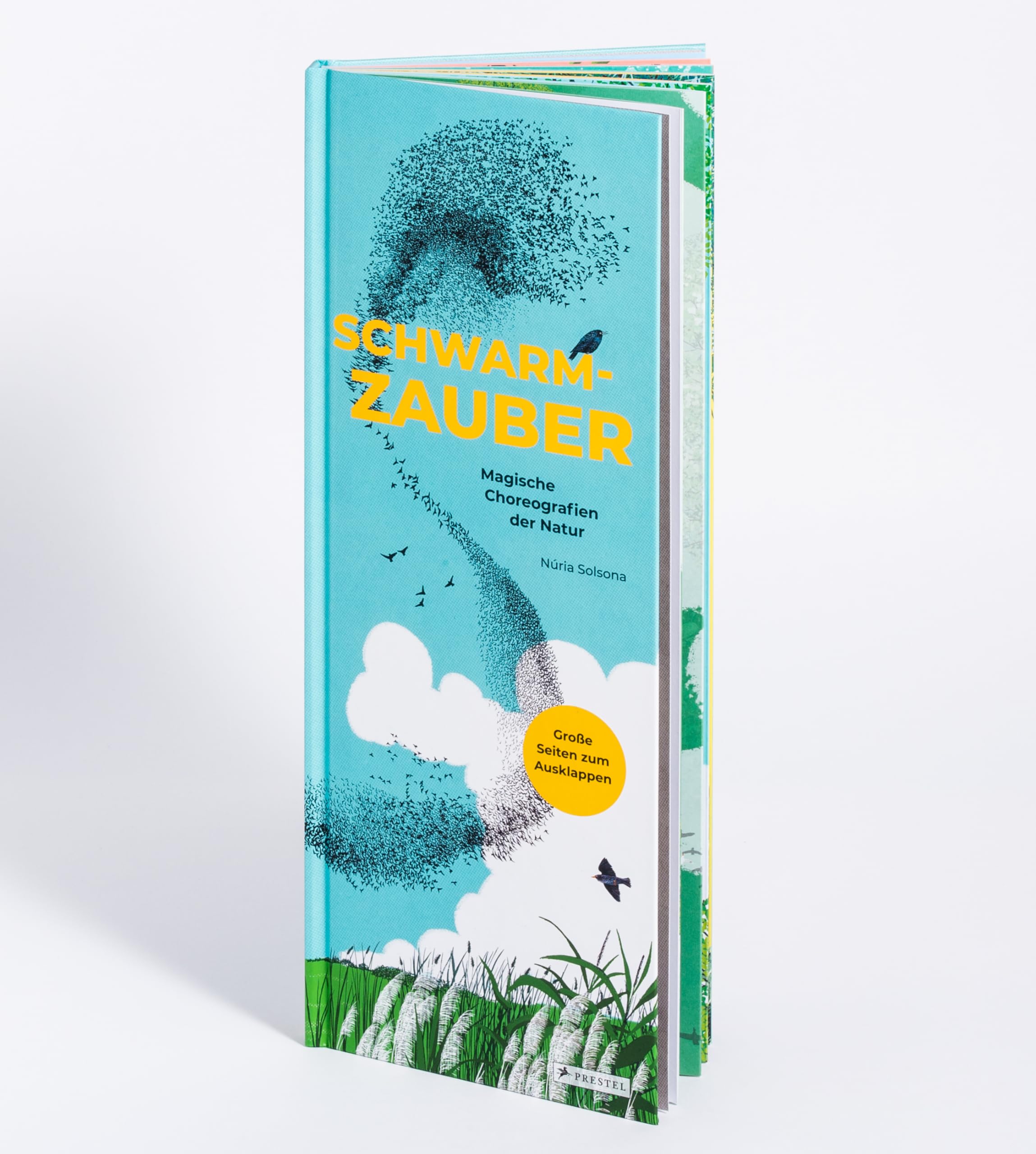 Schwarmzauber: Magische Choreografien der Natur Lifestyle