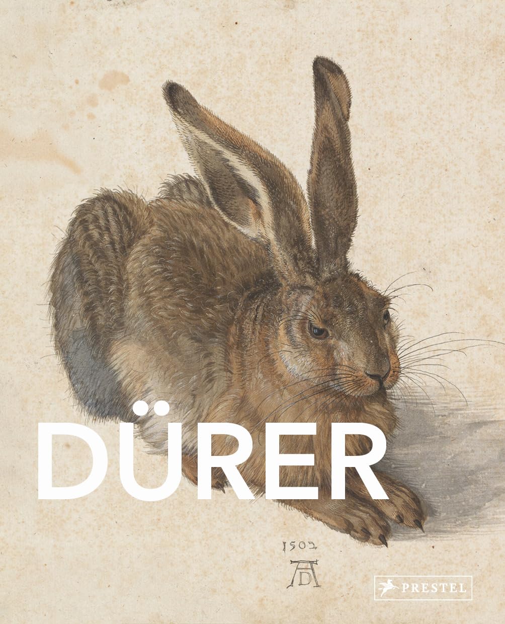 Große Meister der Kunst: Dürer: Große Meister der Kunst. Mit zahlreichen Farbabbildungen Film, Art & Culture