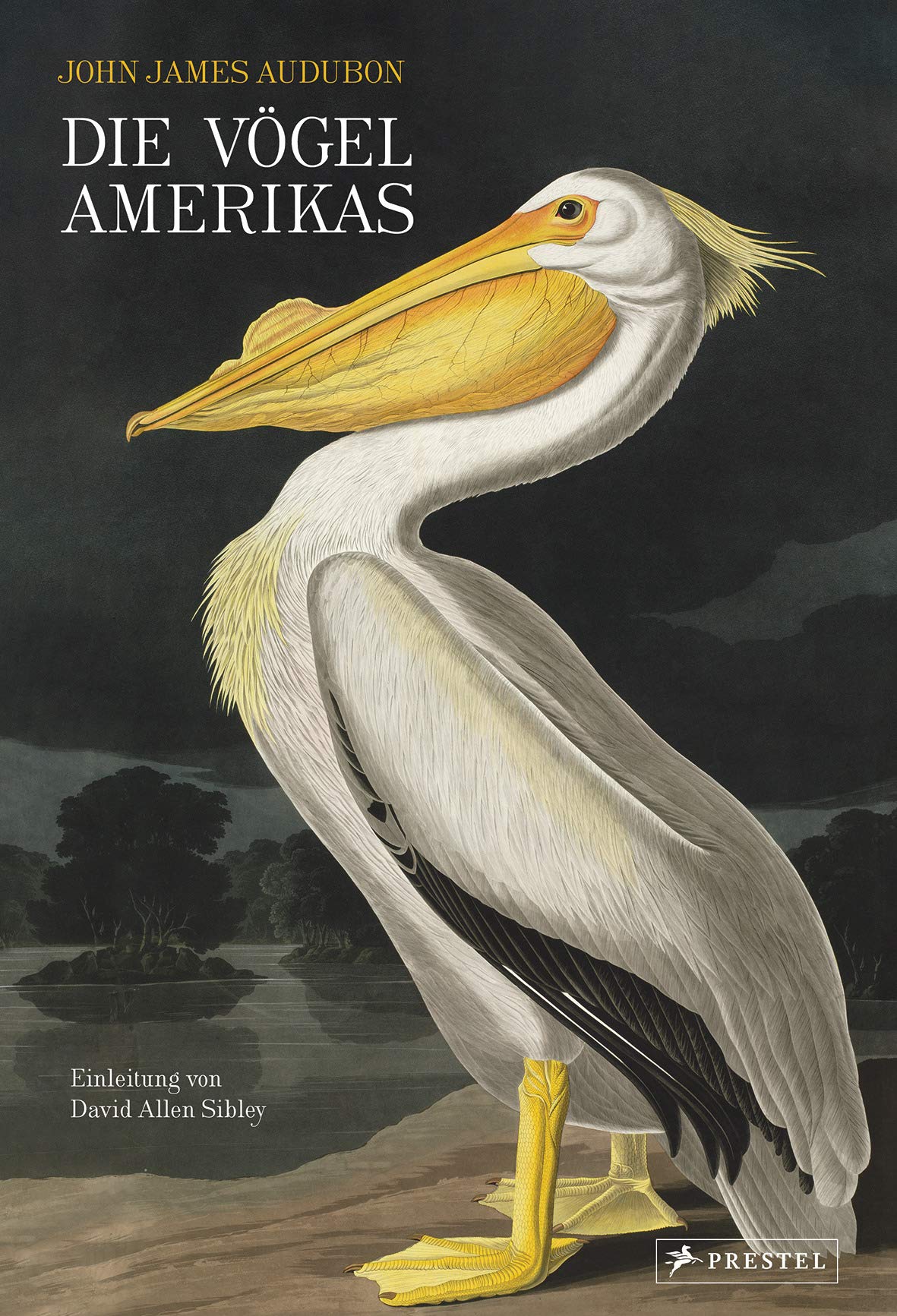 Die Vögel Amerikas Arts & Music