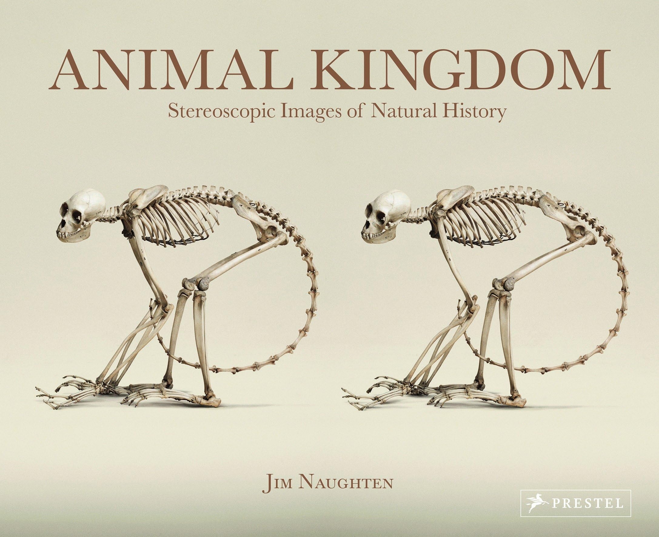 Animal Kingdom : Stereoscopic Images of Natural History Mathematics