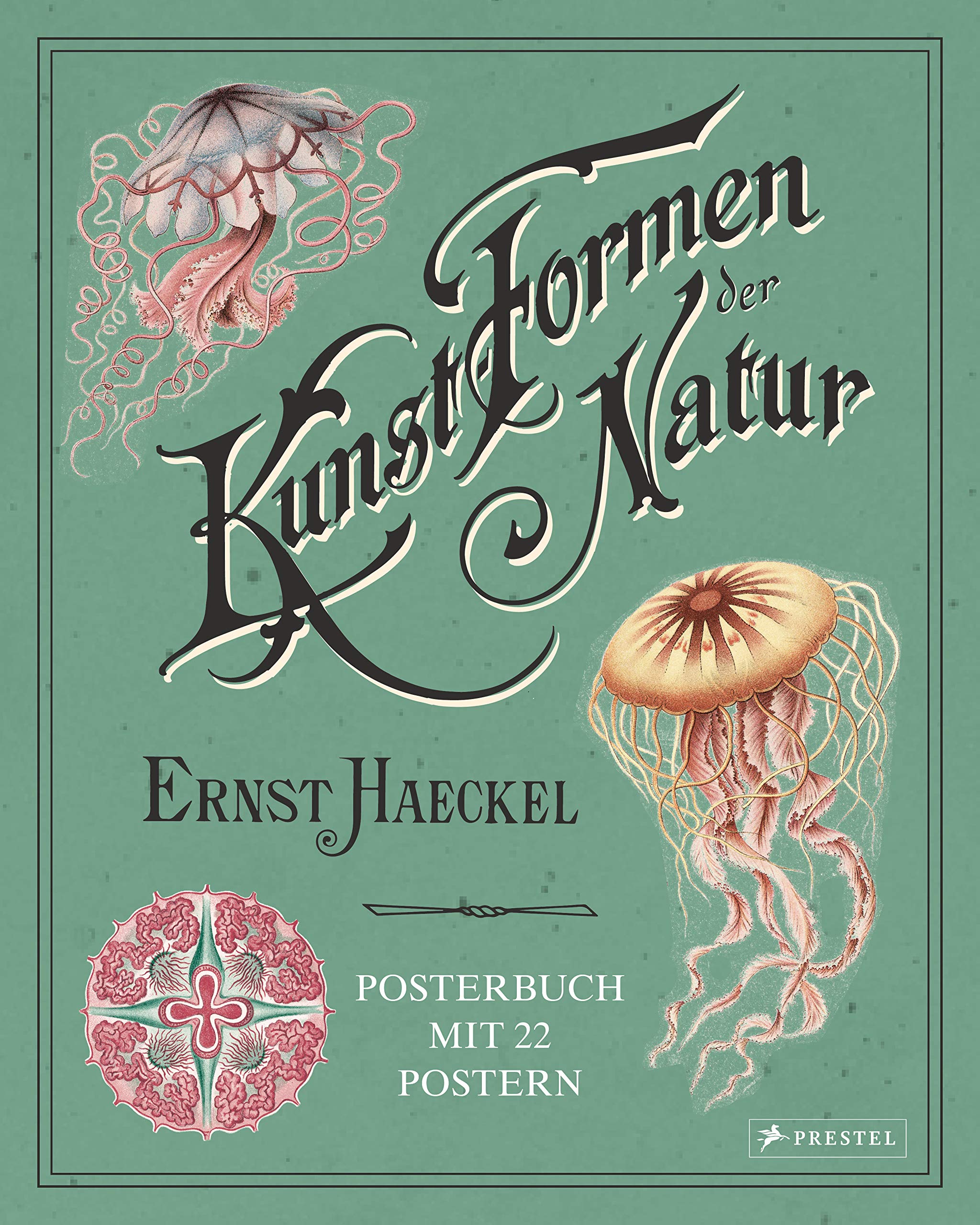 Ernst Haeckel: Kunstformen der Natur. Posterbuch mit 22 Postern book