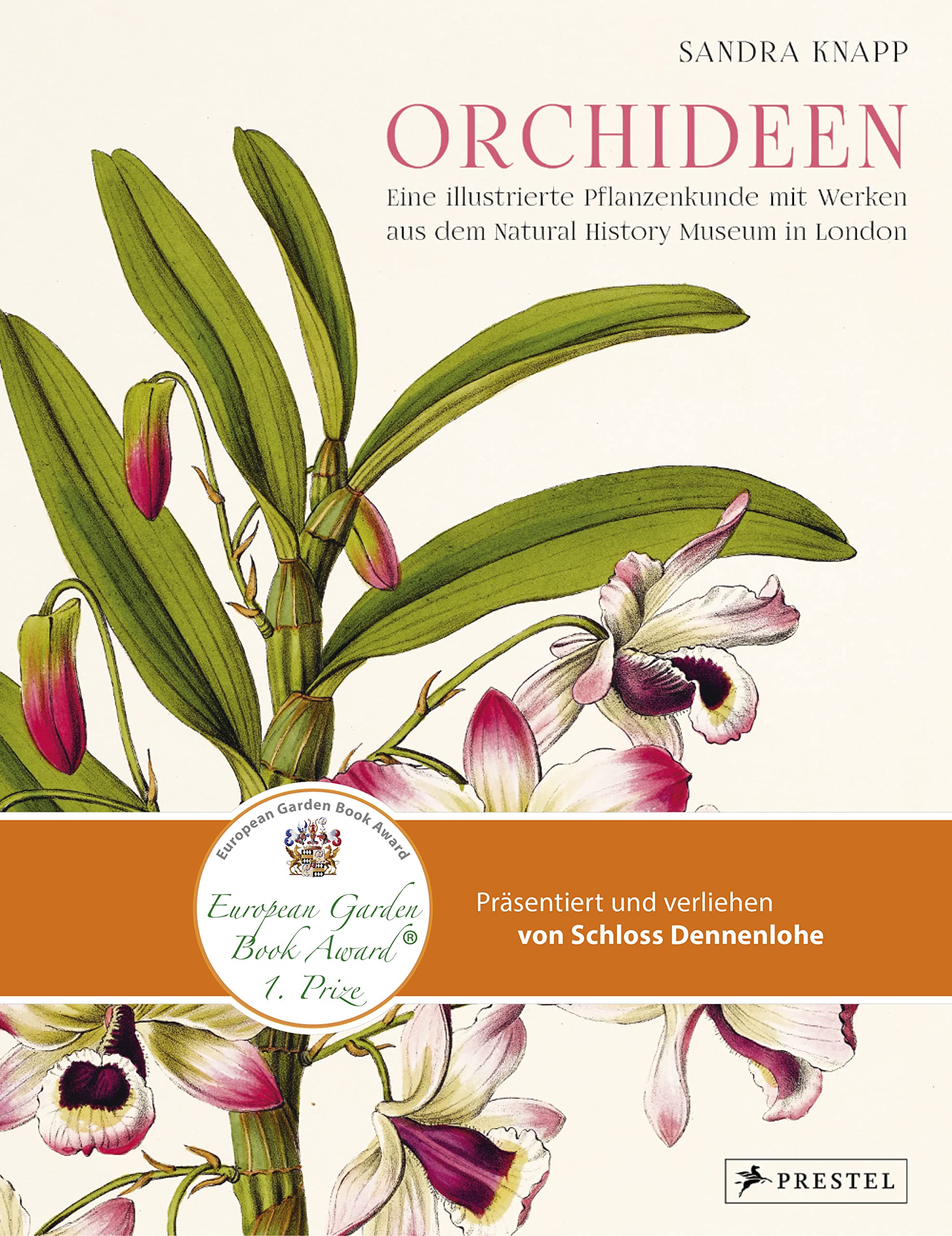Orchideen Arts & Music