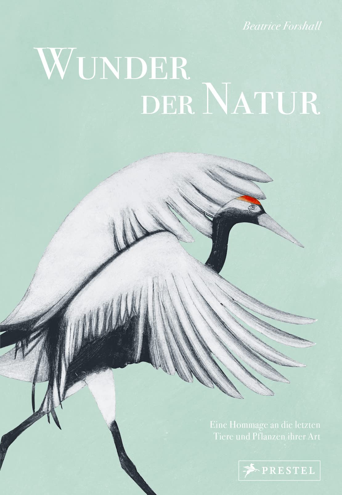 Wunder der Natur Arts & Music