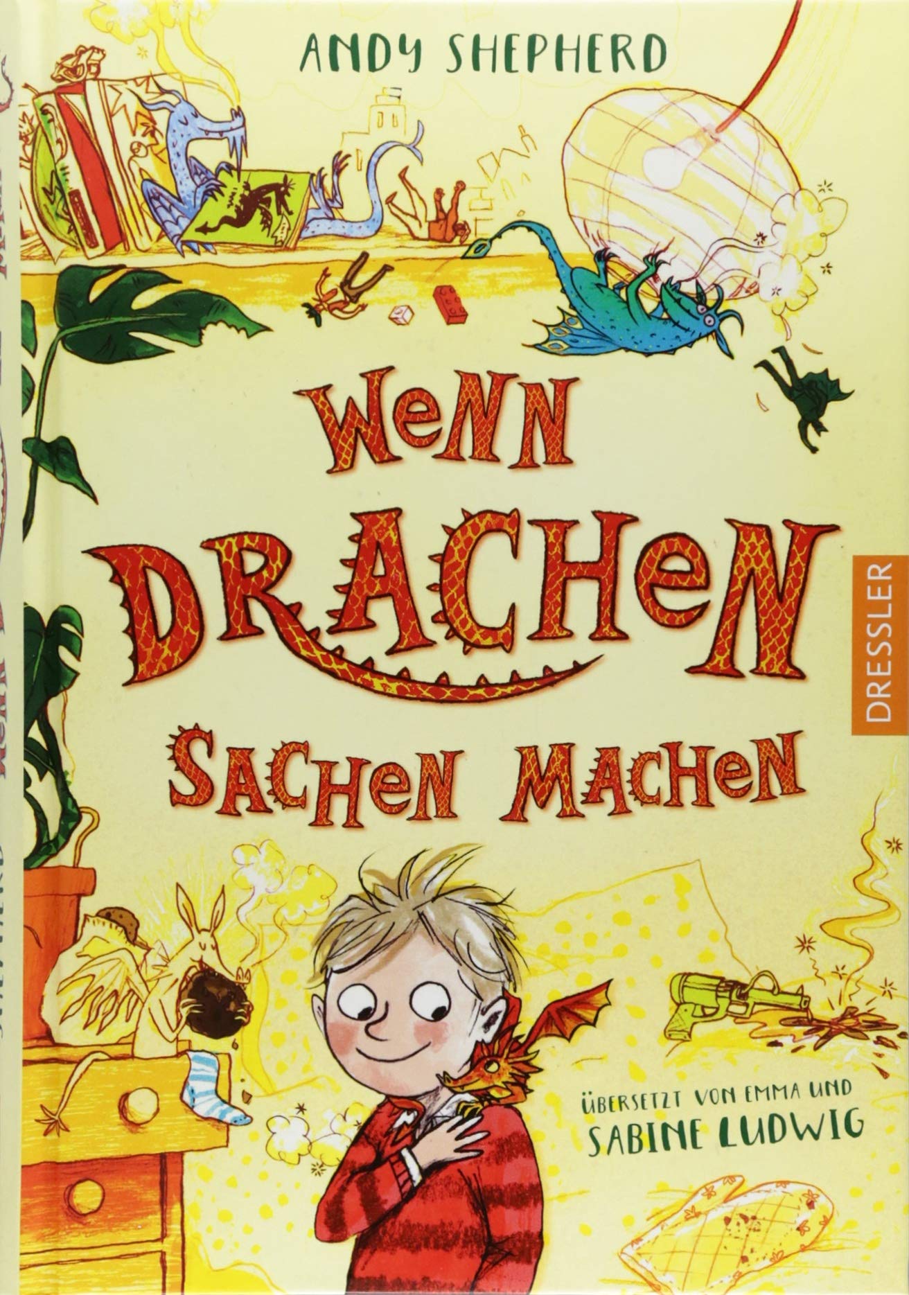 Wenn Drachen Sachen machen Non-fiction books for kids