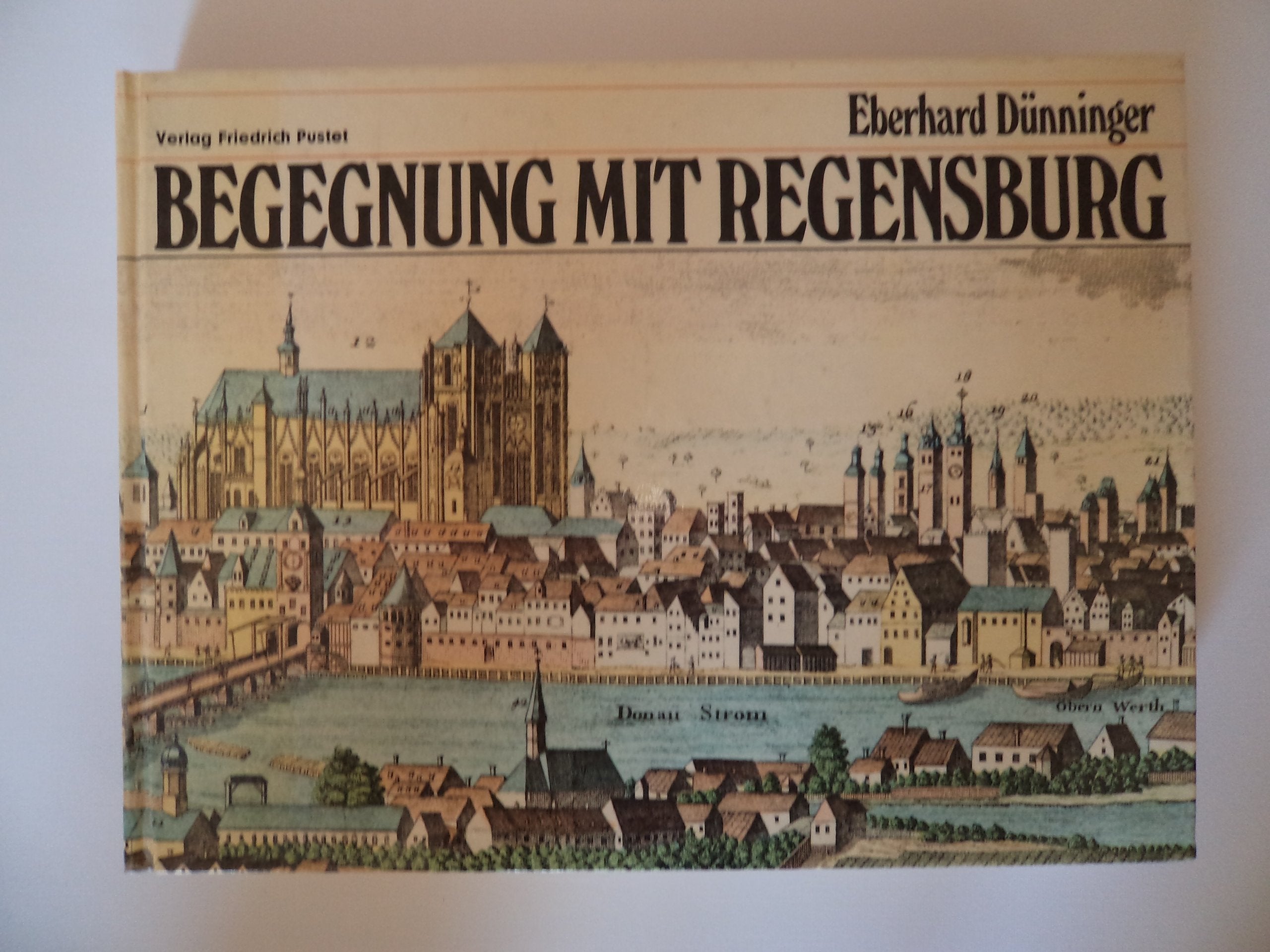 Begegnung mit Regensburg: Stadt und Landschaft im Erlebnis der Jahrhunderte Politics & History