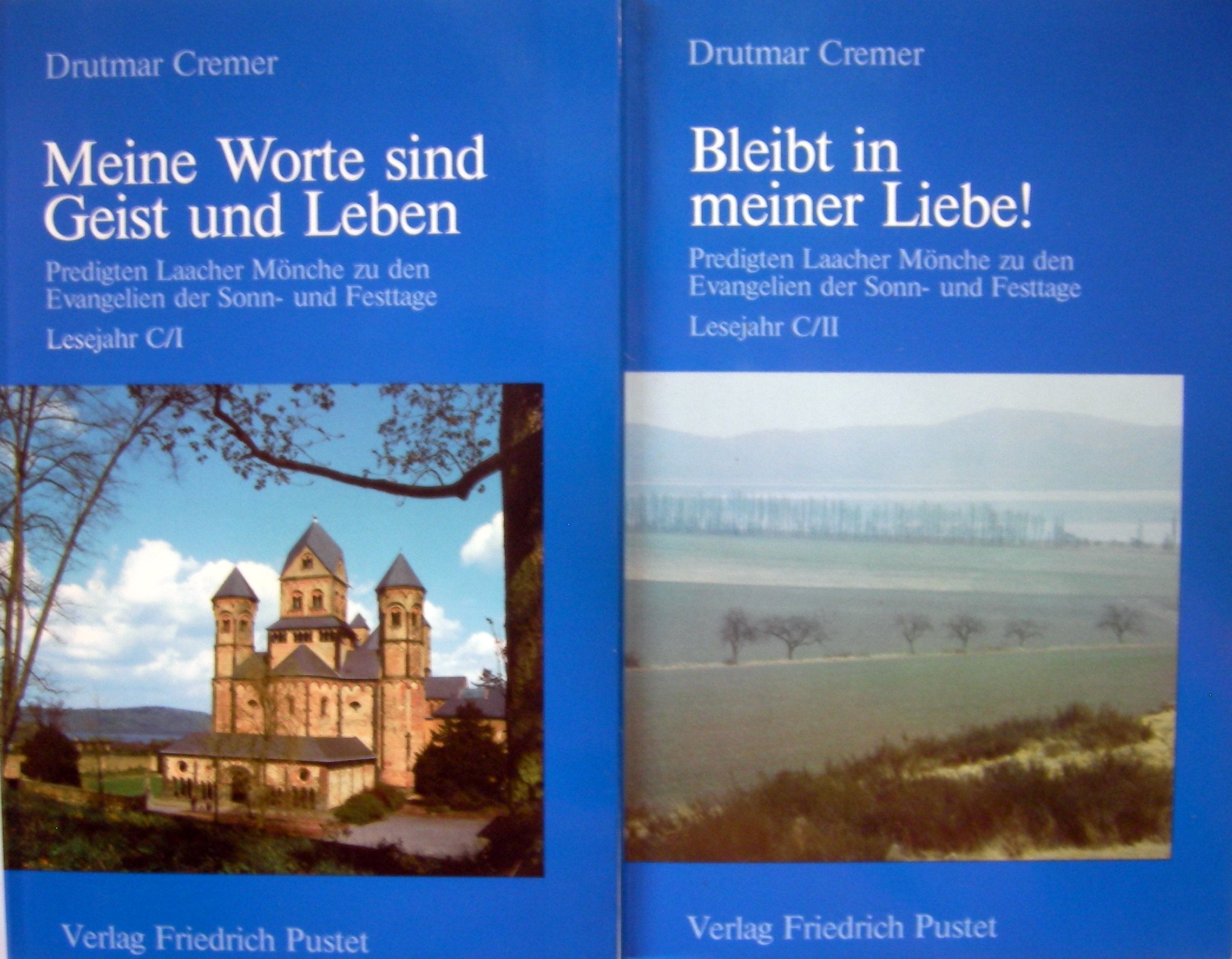 Meine Worte sind Geist und Leben Books