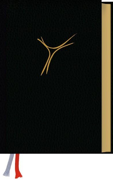 Gotteslob. Katholisches Gebet- und Gesangbuch. Ausgabe für die Diözese Regensburg Religion & Esotericism