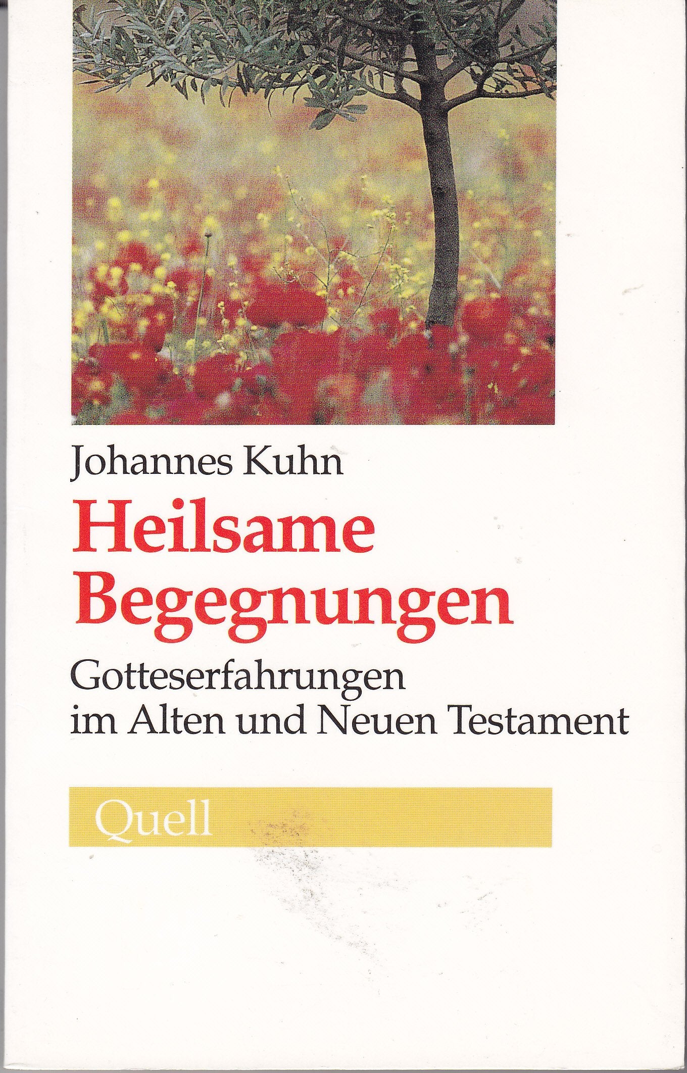 Heilsame Begegnungen: Gotteserfahrungen im Alten und Neuen Testament Religion & Esotericism