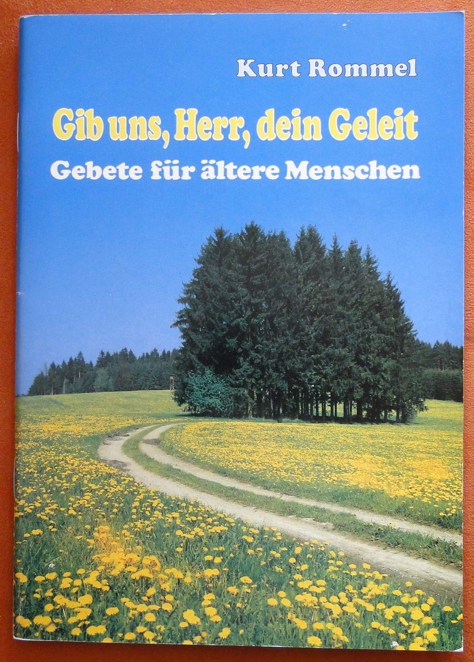 Gib uns Herr, dein Geleit. Gebete für ältere Menschen Books