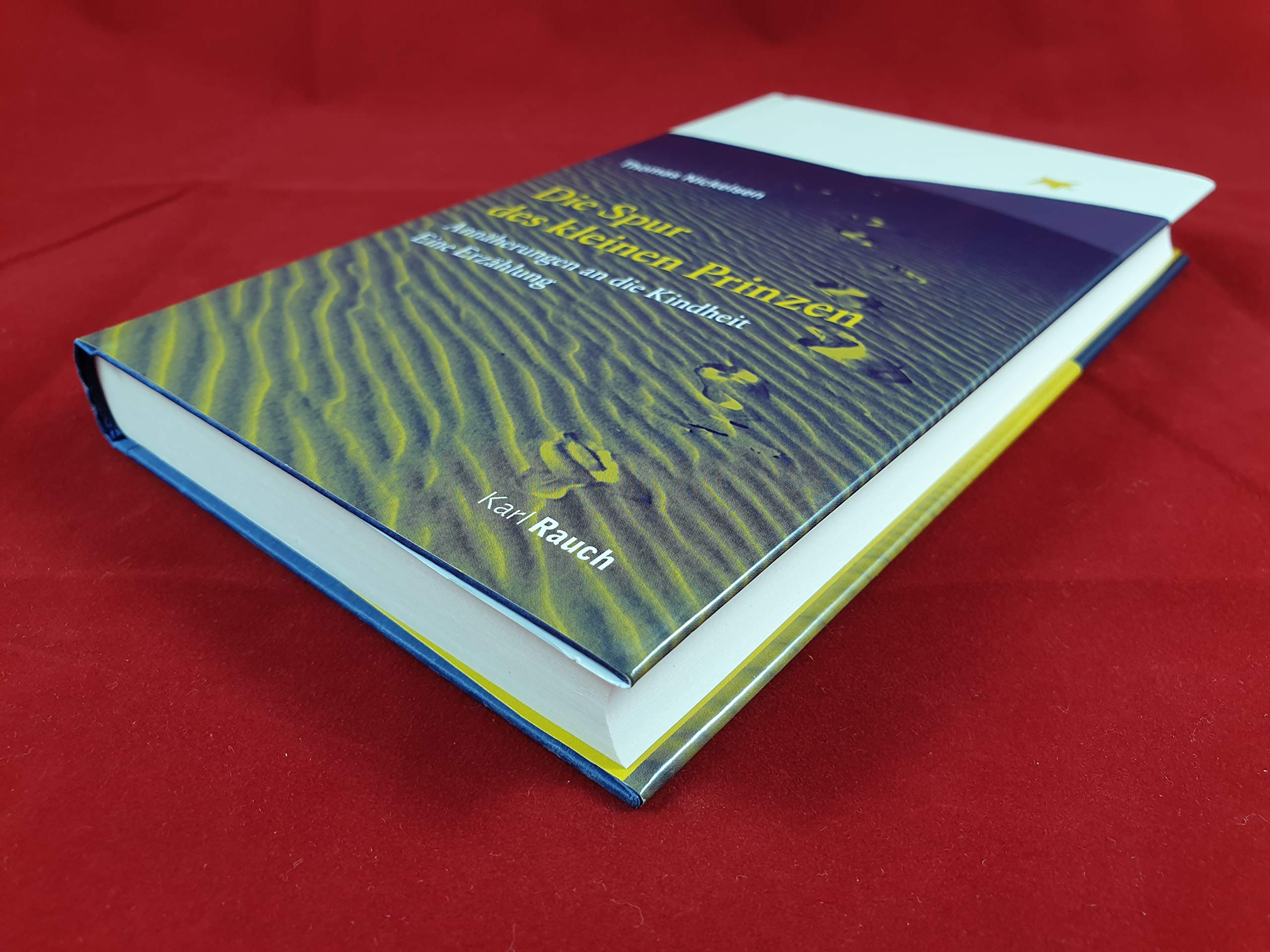 Die Spur des kleinen Prinzen Contemporary literature