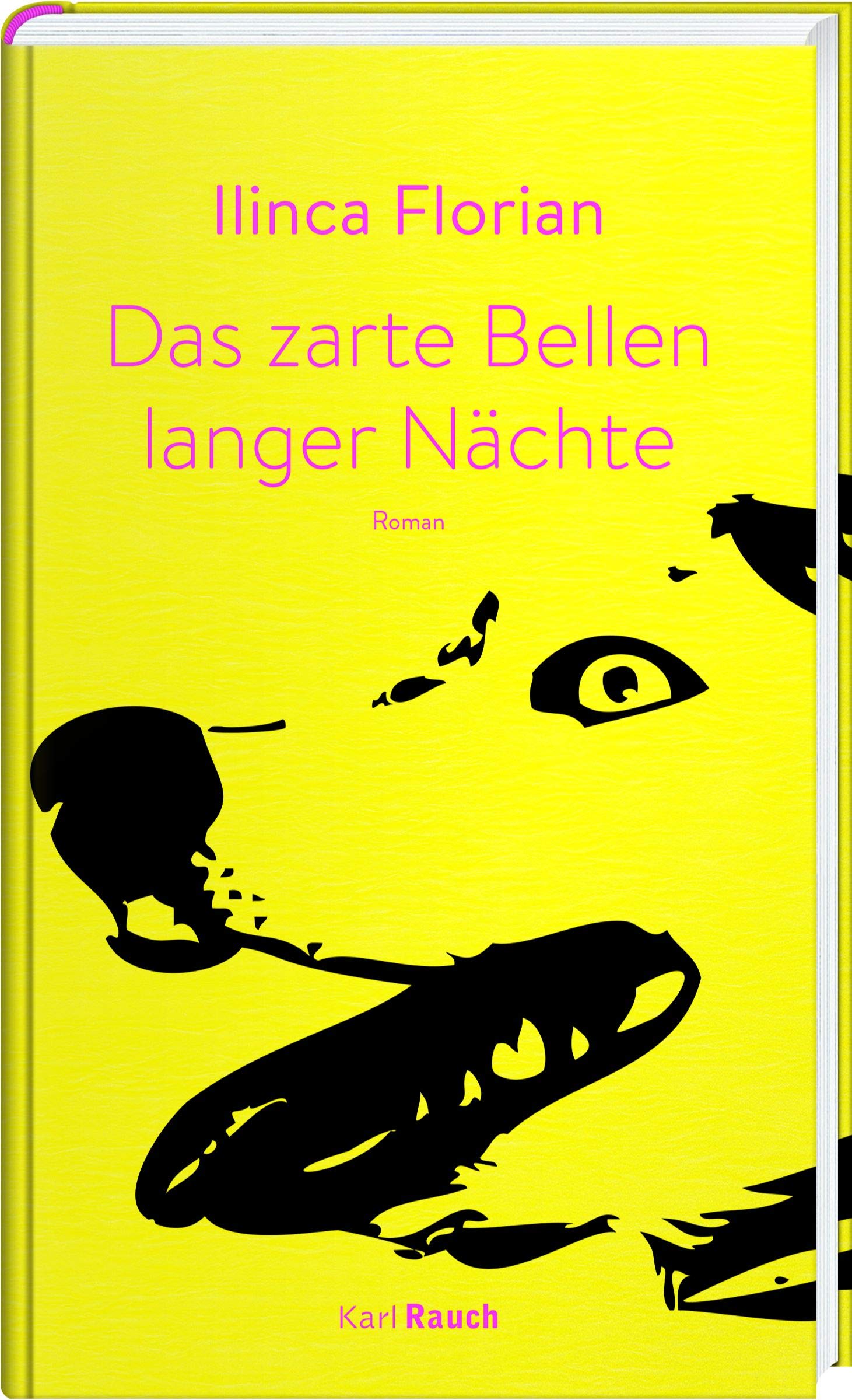 Das zarte Bellen langer Nächte Contemporary literature