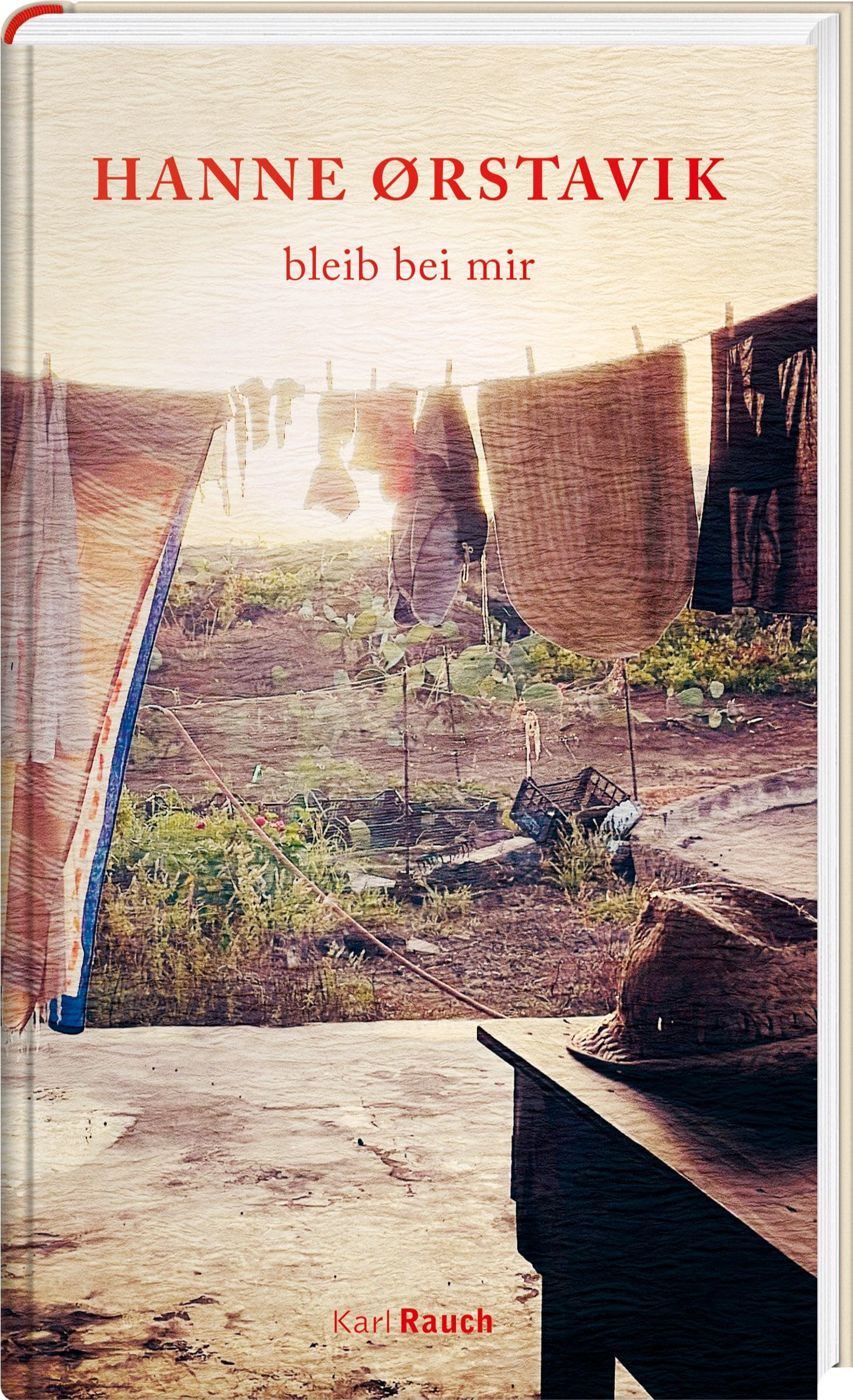 bleib bei mir Contemporary literature Books