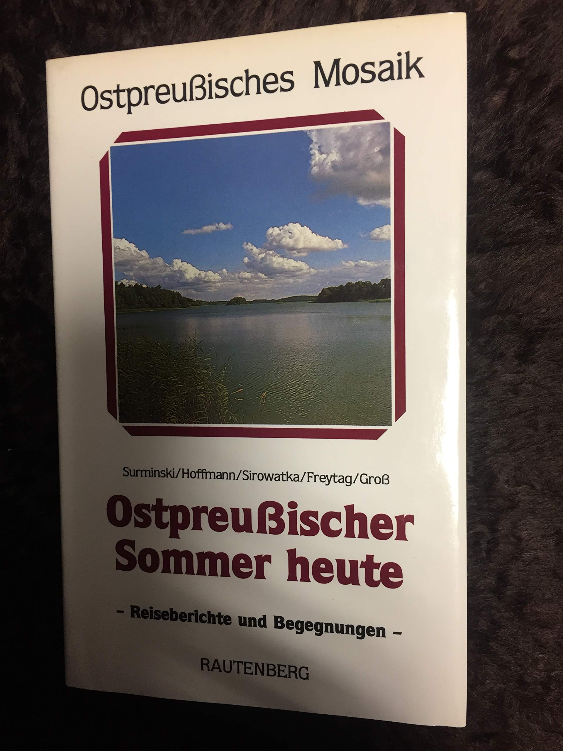 Ostpreußischer Sommer heute. Begegnungen, Gespräche, Beobachtungen, Berichte Travelogues