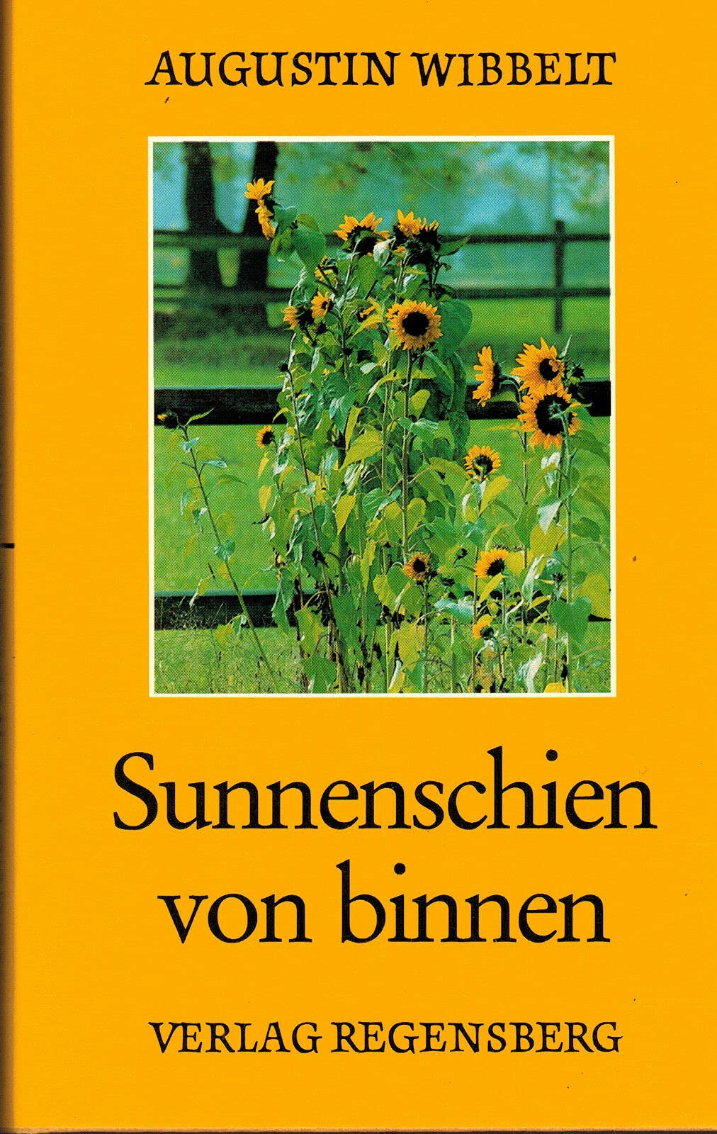 Sunnenschien von binnen E. Ausw. plattdt. u. hochdt. Texte aus seinem Werk Books