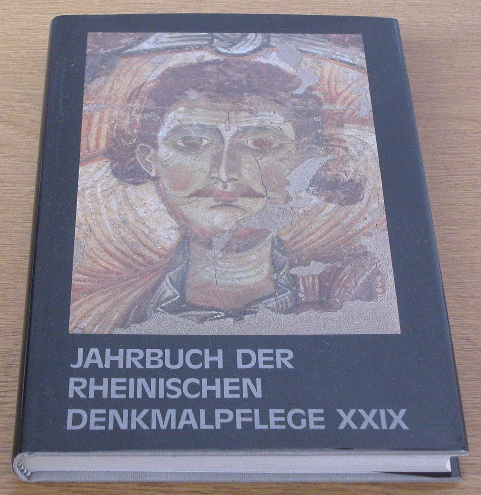 Jahrbuch der Rheinischen Denkmalpflege. Band 29: Forschungen und Berichte. Books
