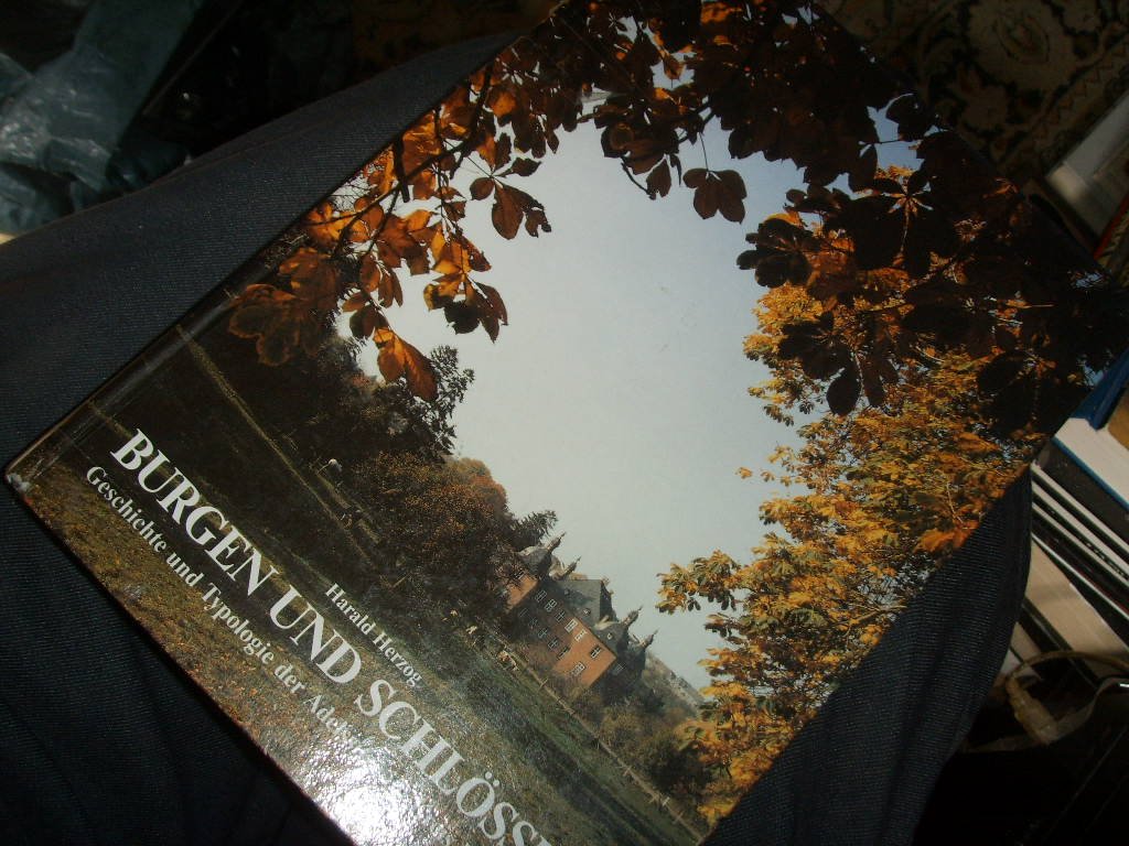 Burgen und Schlösser. Geschichte und Typologie der Adelssitze im Kreis Euskirchen Books